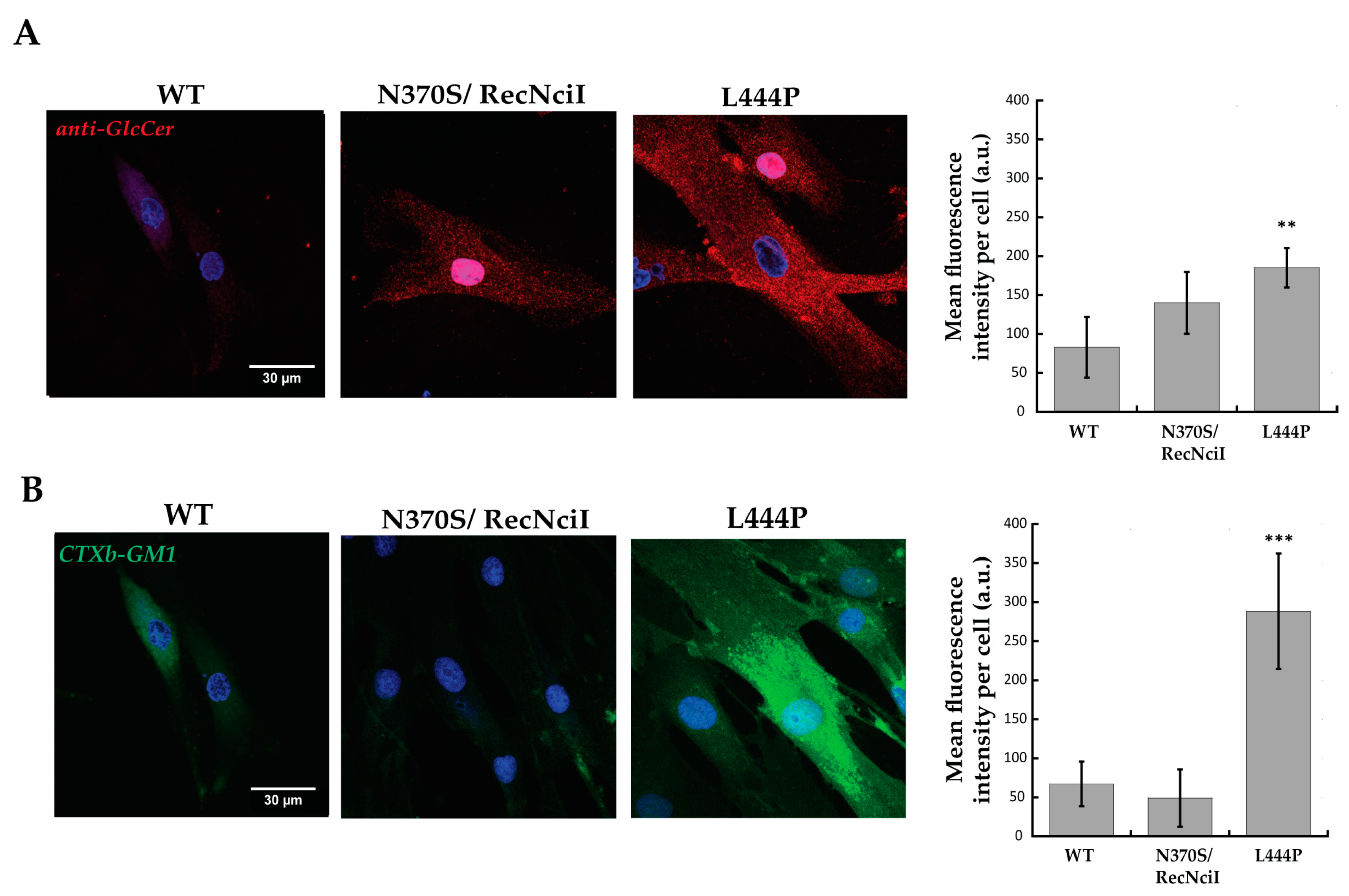 Molecules 29 00453 g001