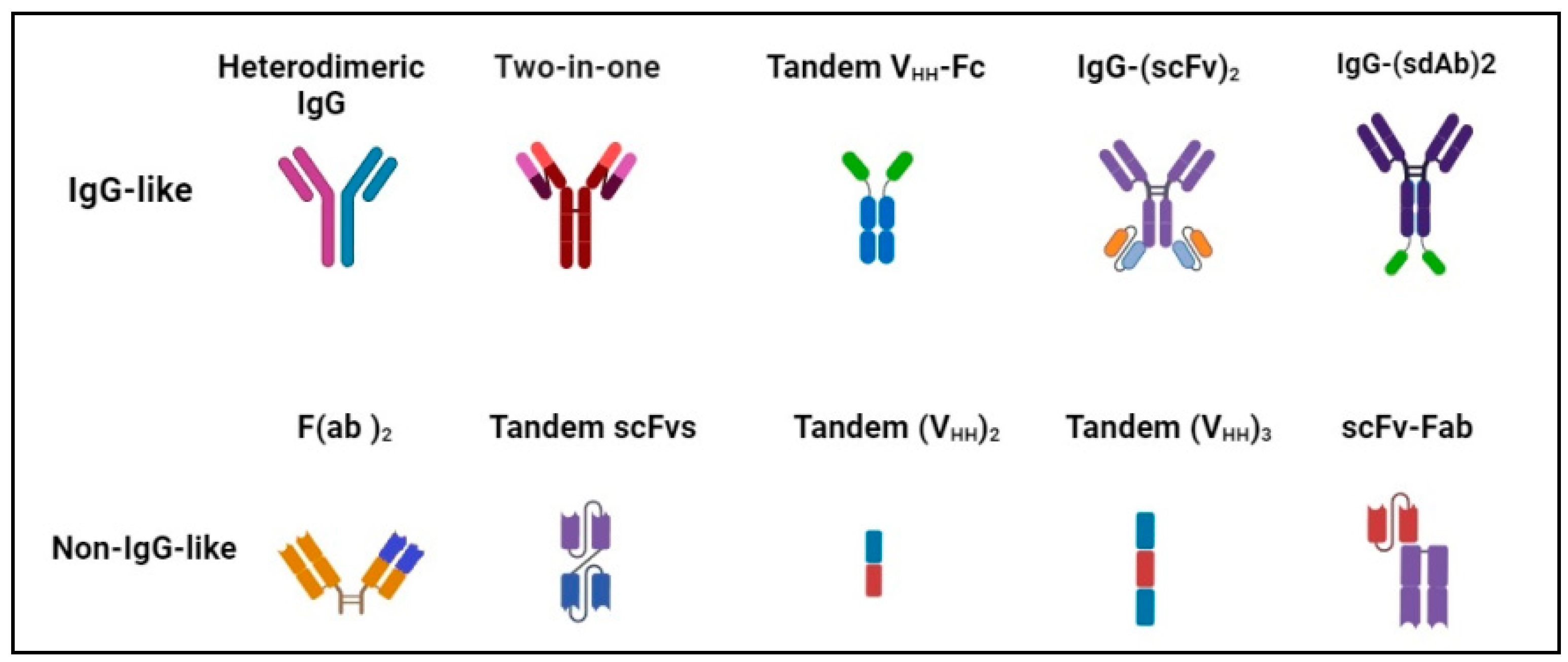 Molecules 29 00454 g001