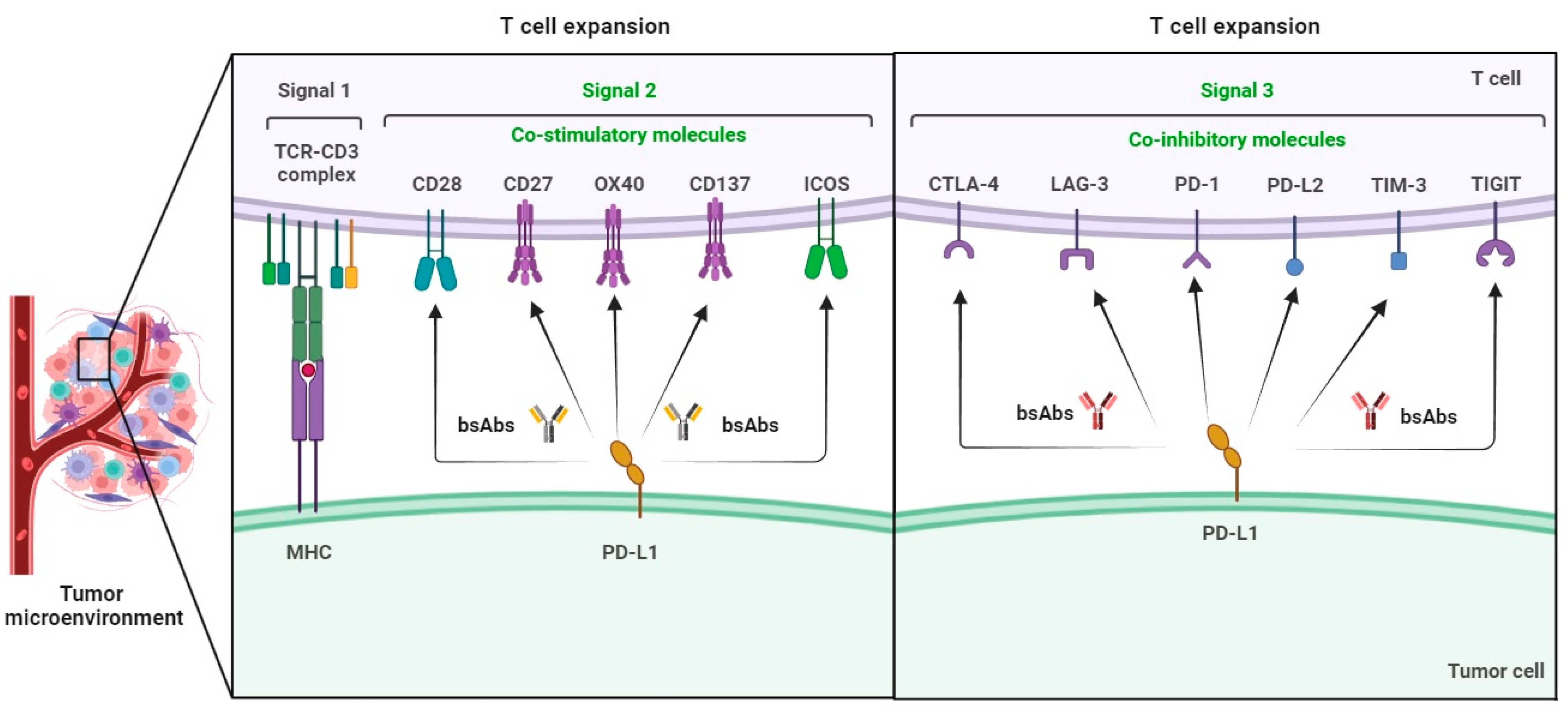 Molecules 29 00454 g002