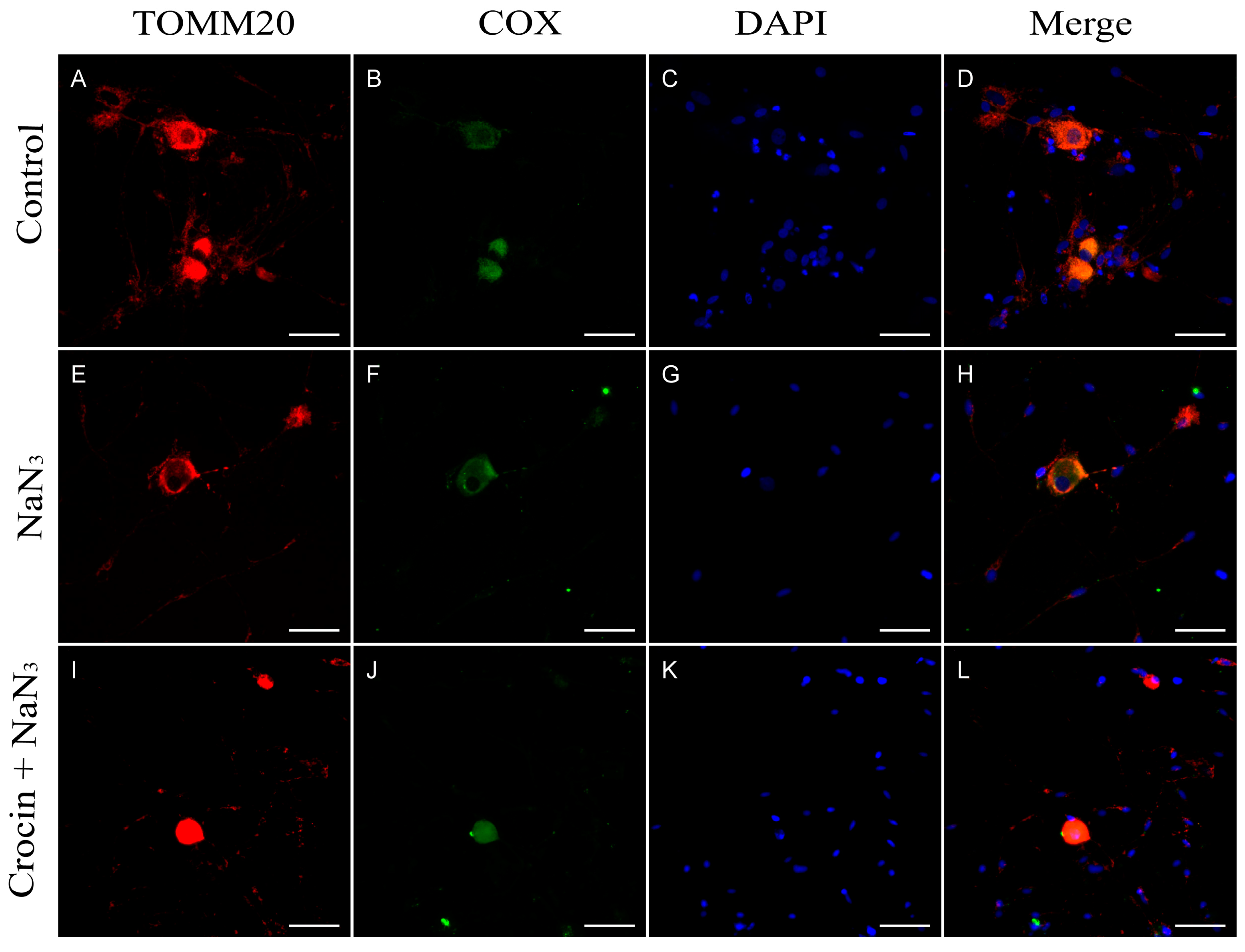 Molecules 29 00456 g003