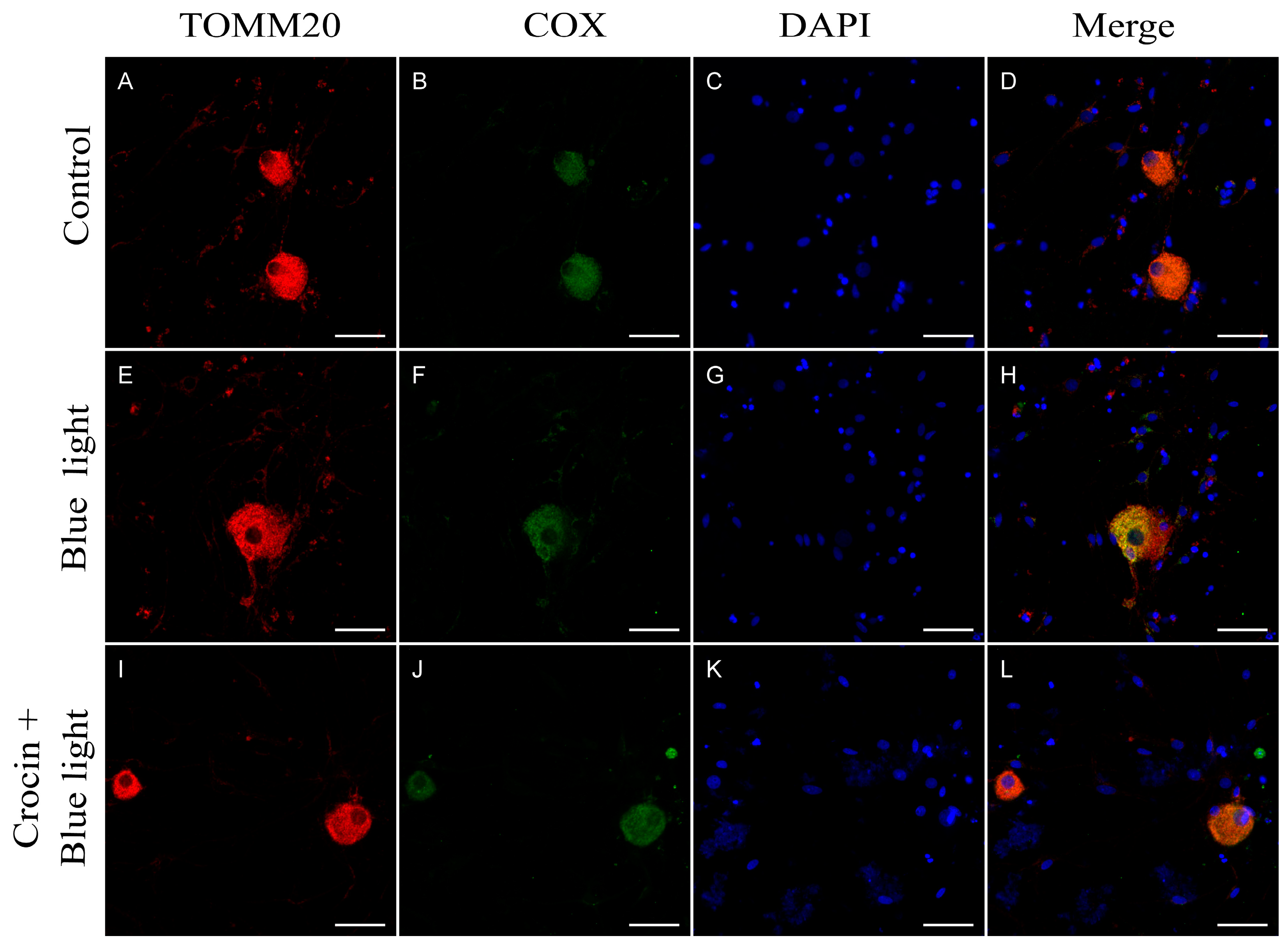 Molecules 29 00456 g004