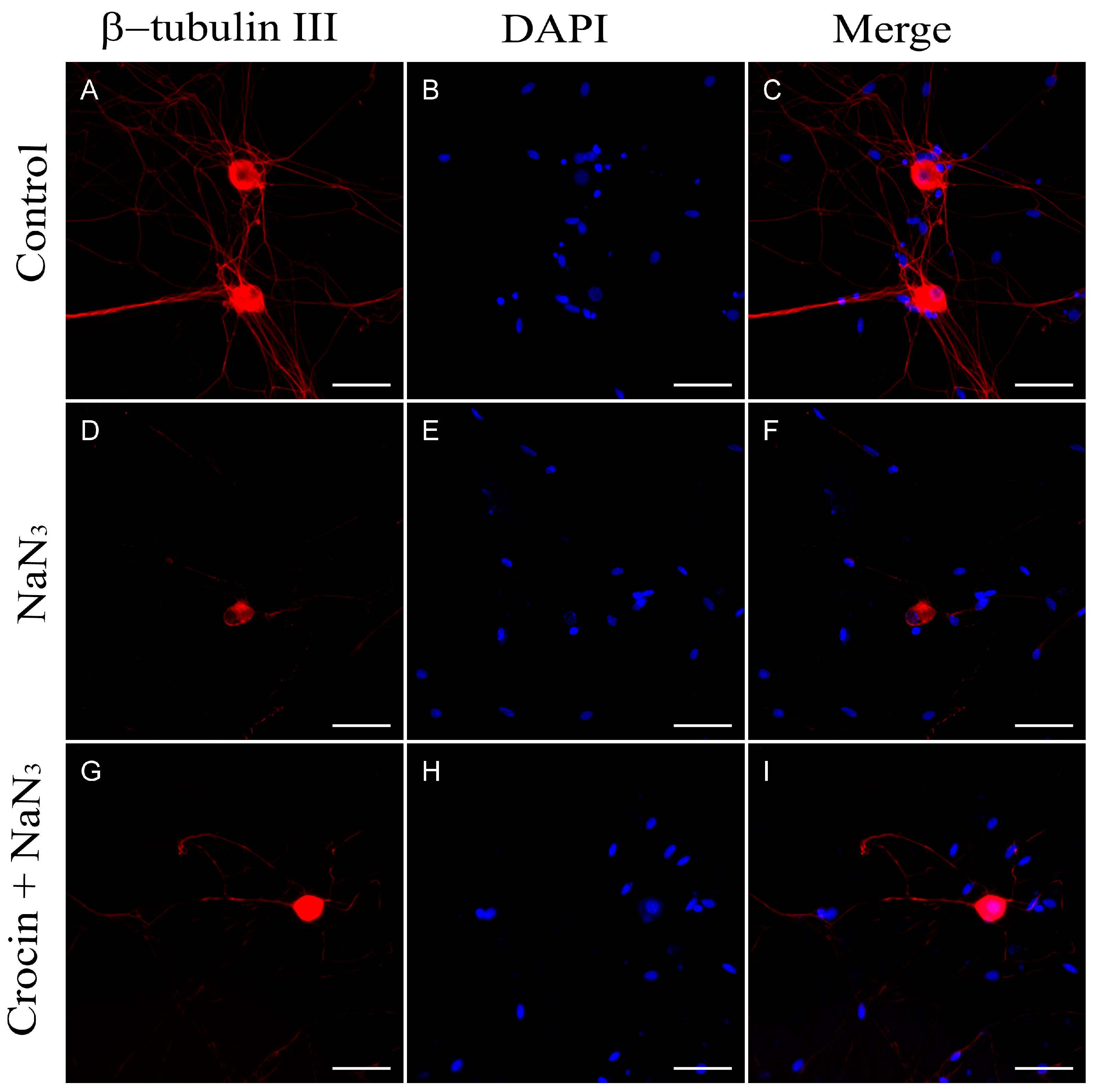 Molecules 29 00456 g008