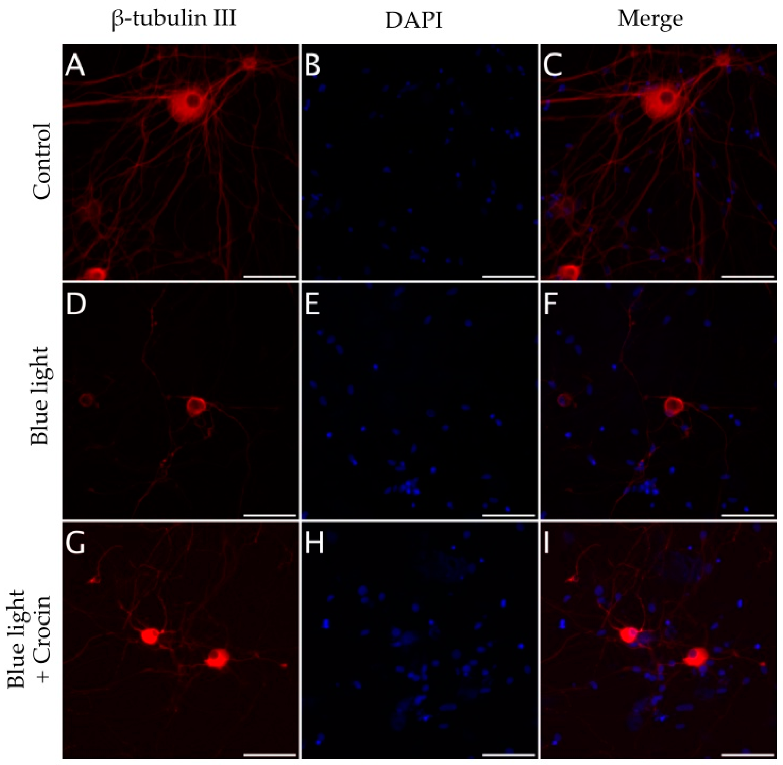 Molecules 29 00456 g010