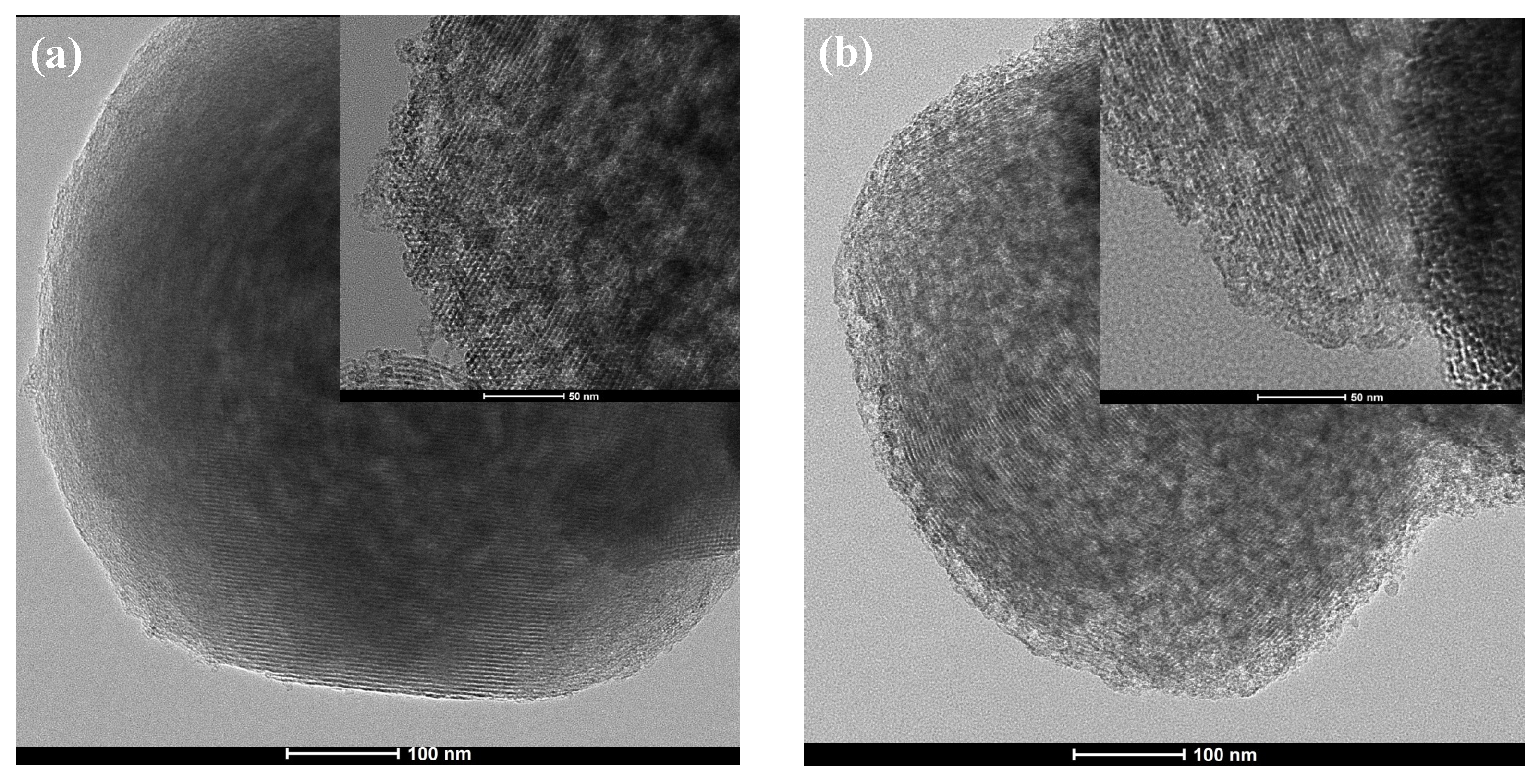 Molecules 29 00460 g005