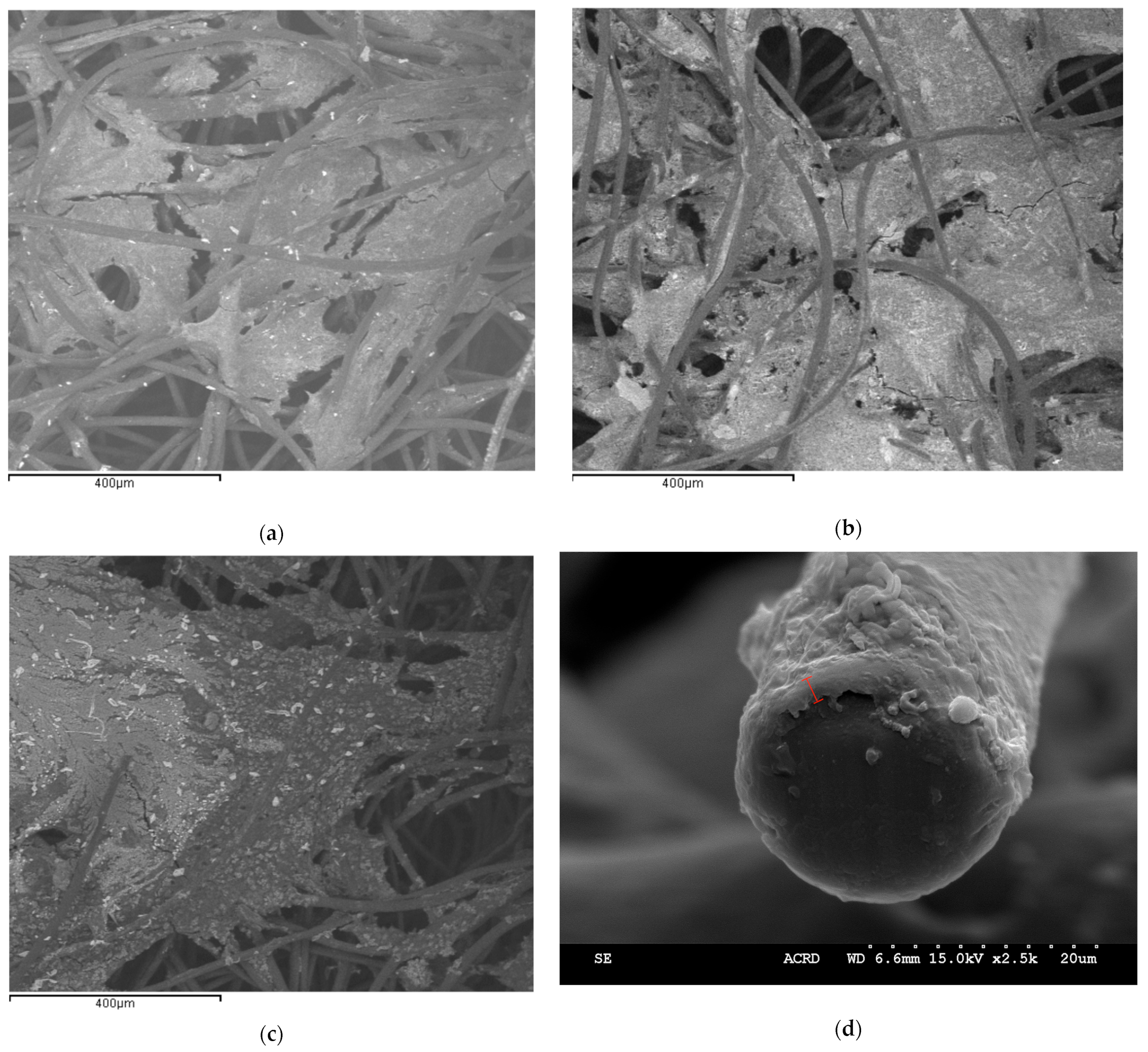 Molecules 29 00462 g004