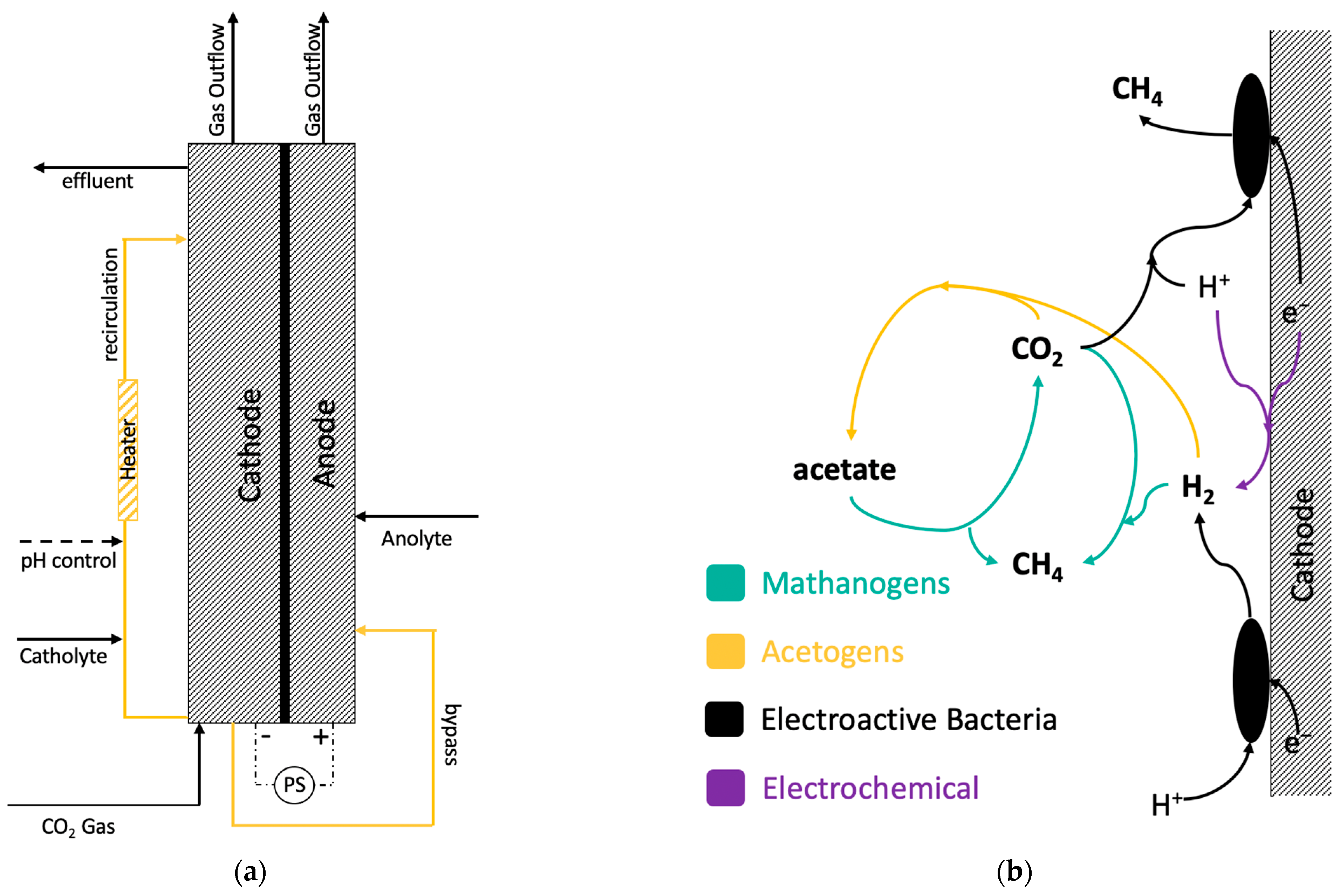 Molecules 29 00462 g005