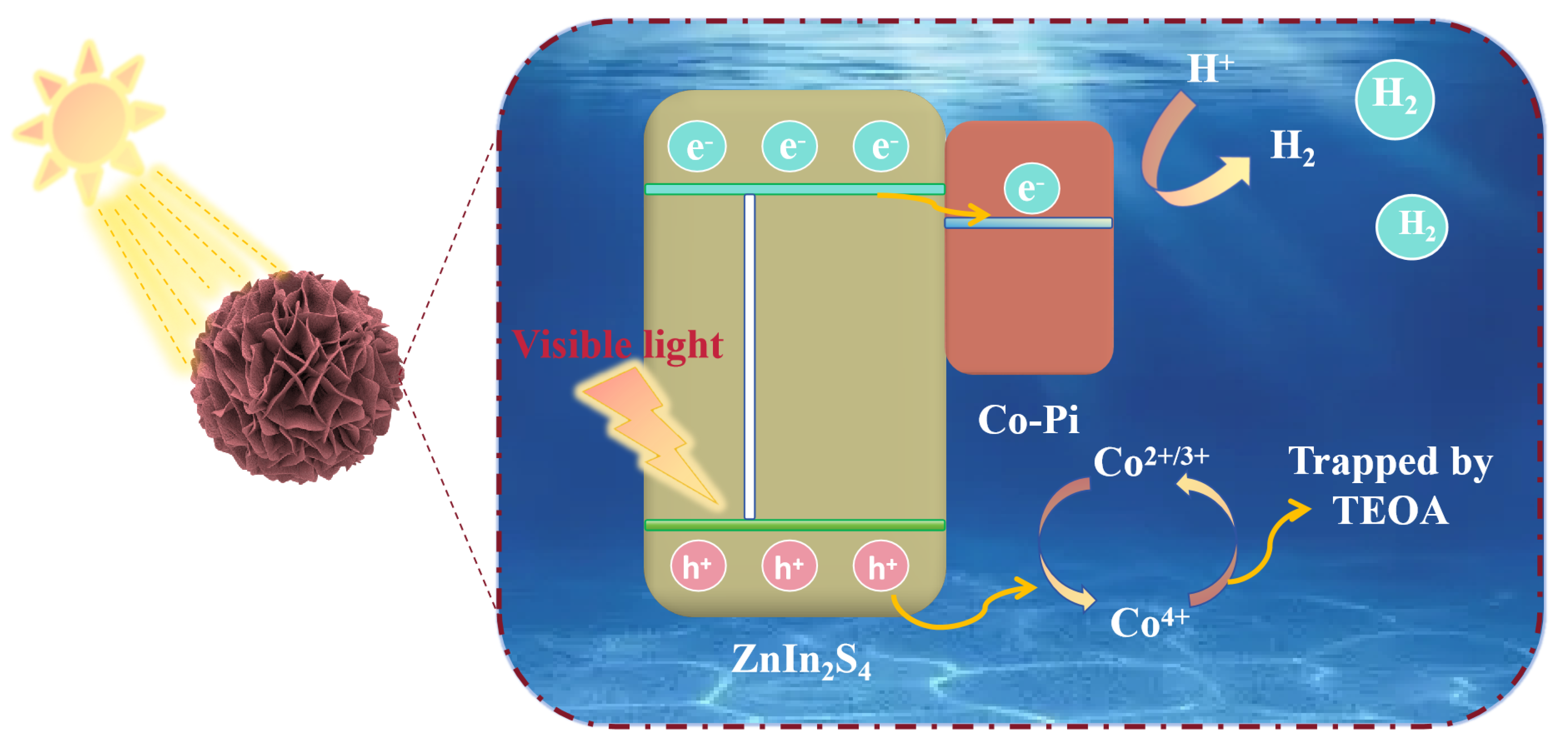 Molecules 29 00465 g007