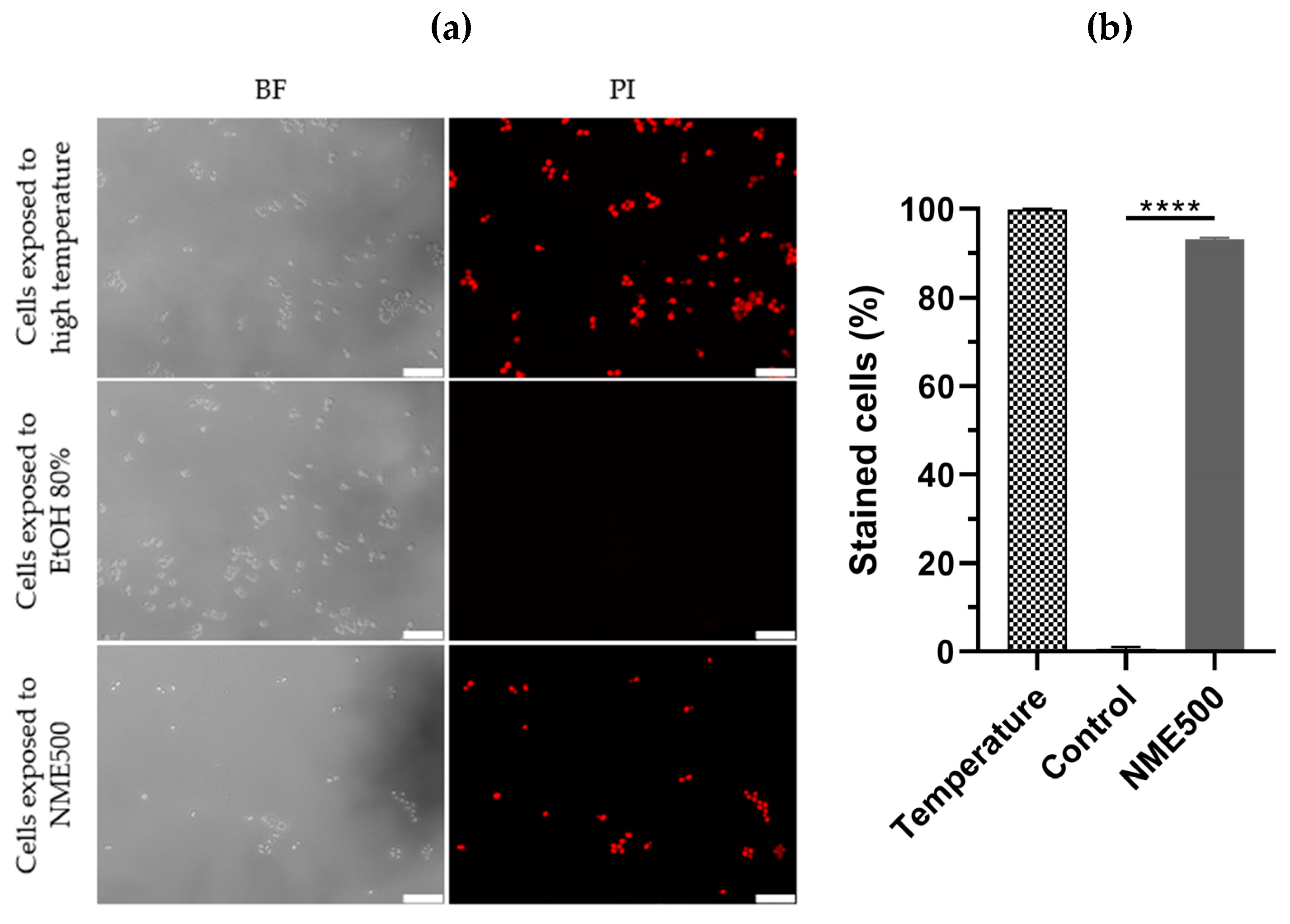 Molecules 29 00471 g005