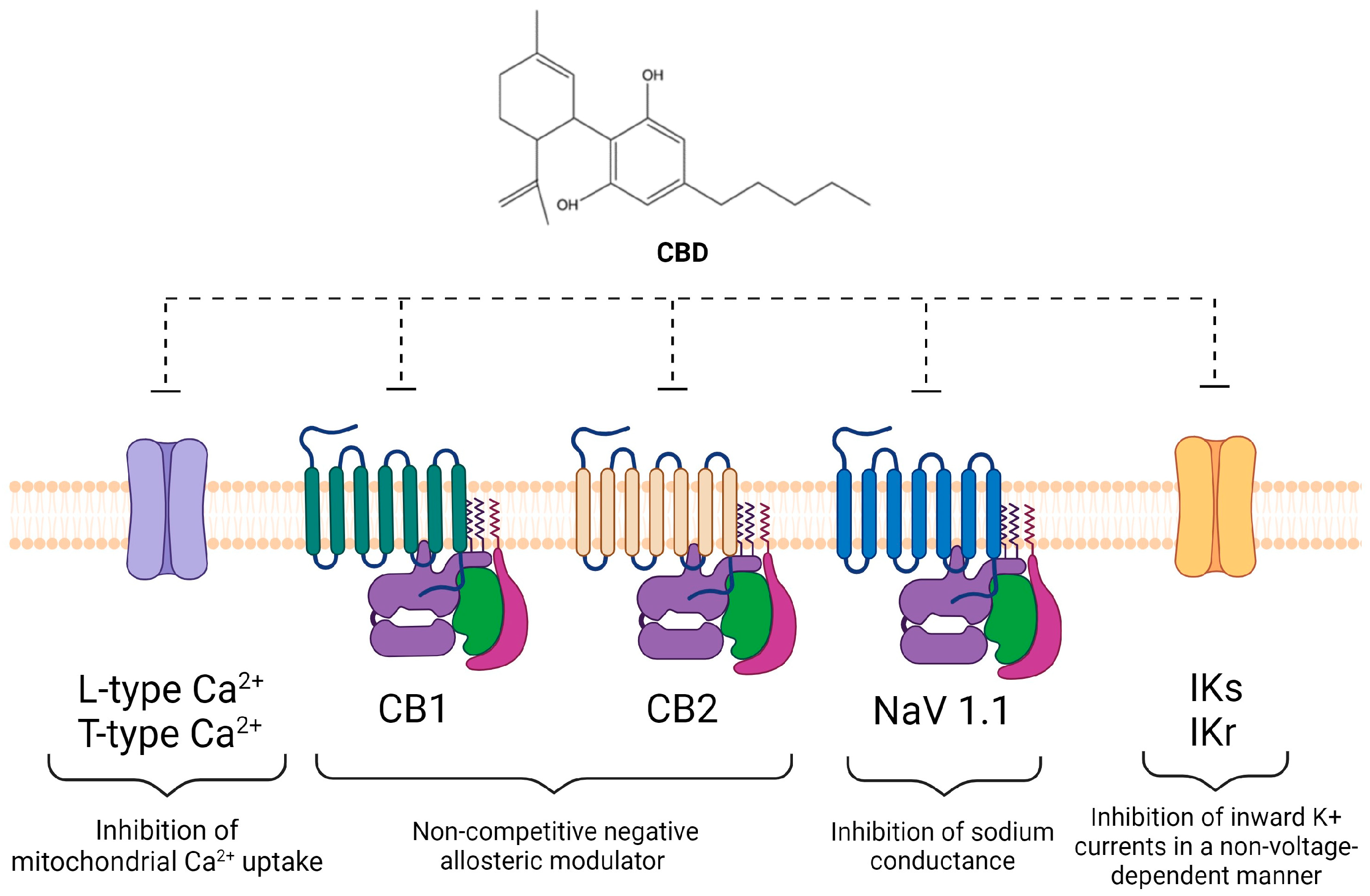 Molecules 29 00473 g003