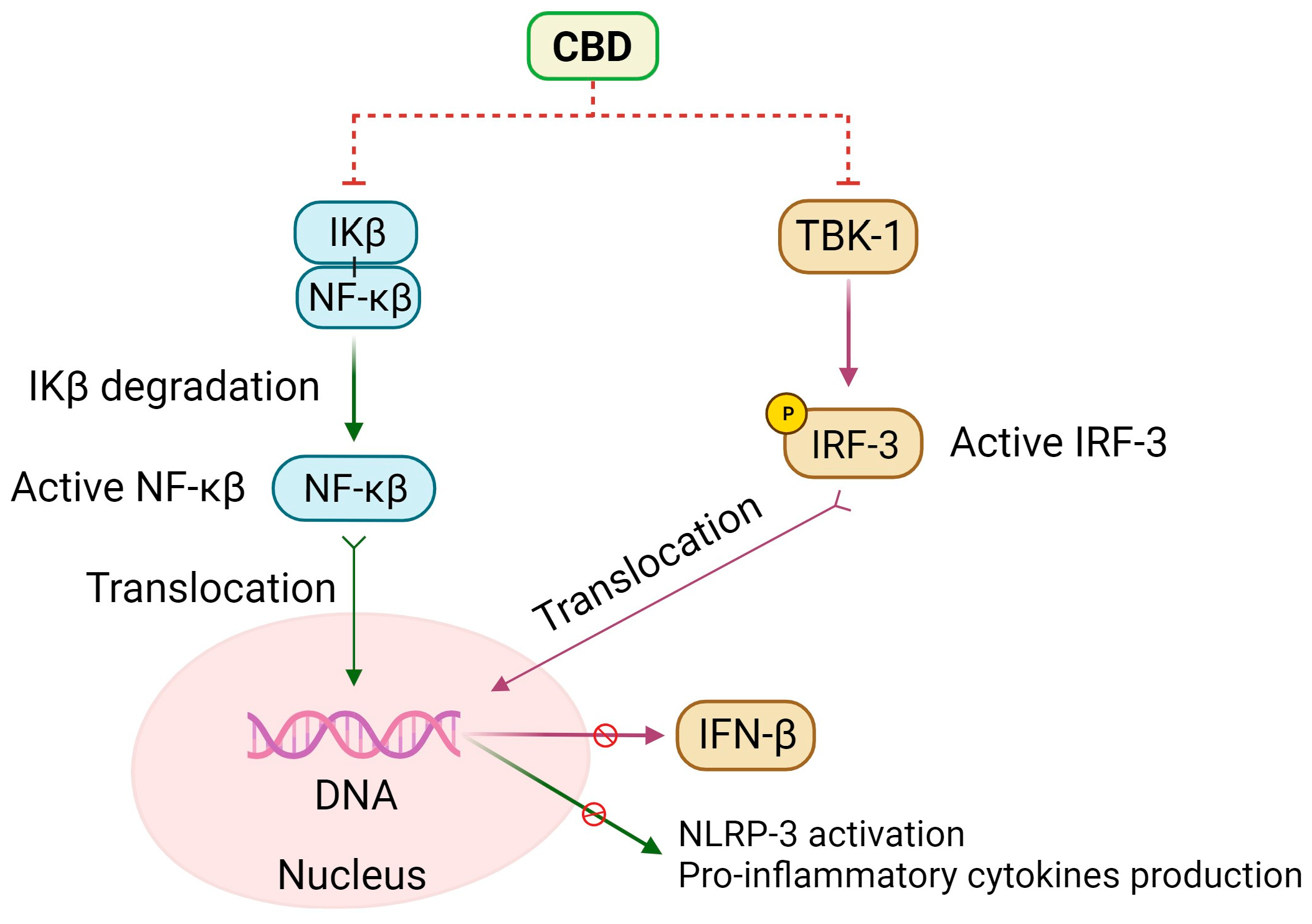 Molecules 29 00473 g004