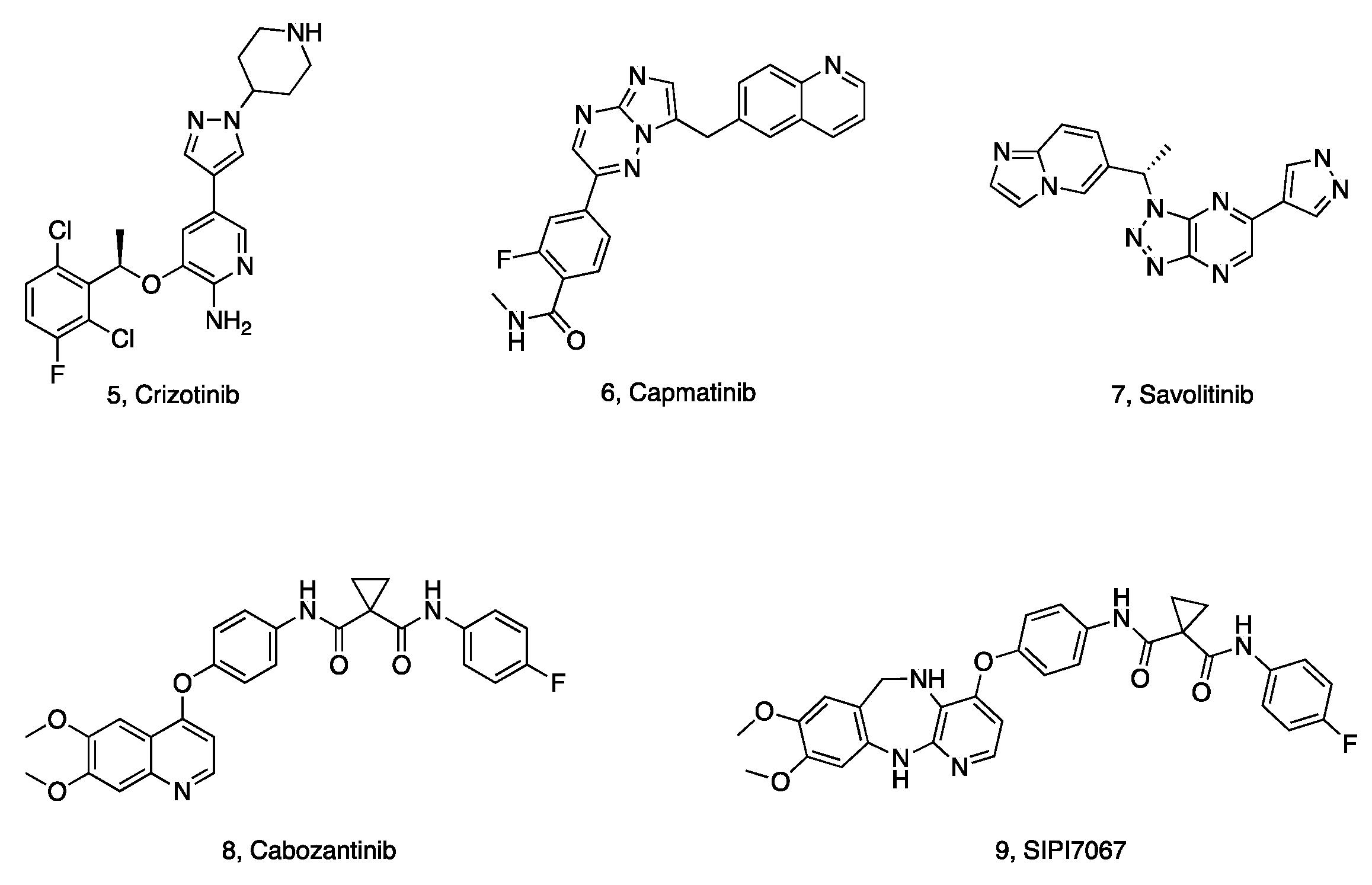 Molecules 29 00475 g002