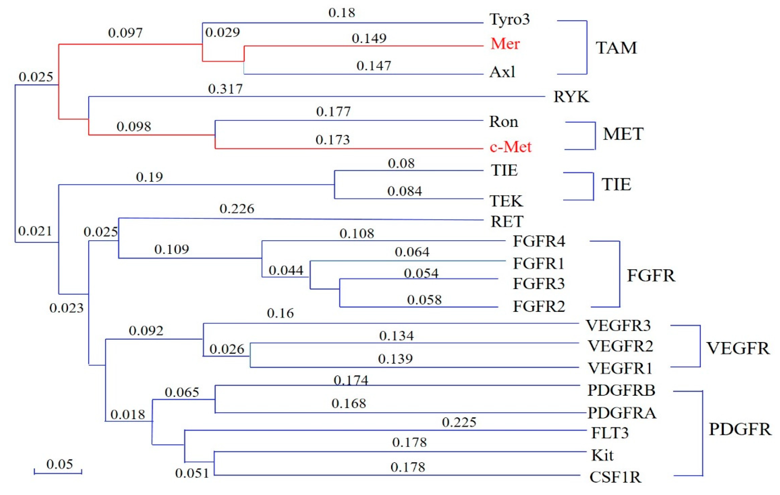 Molecules 29 00475 g003