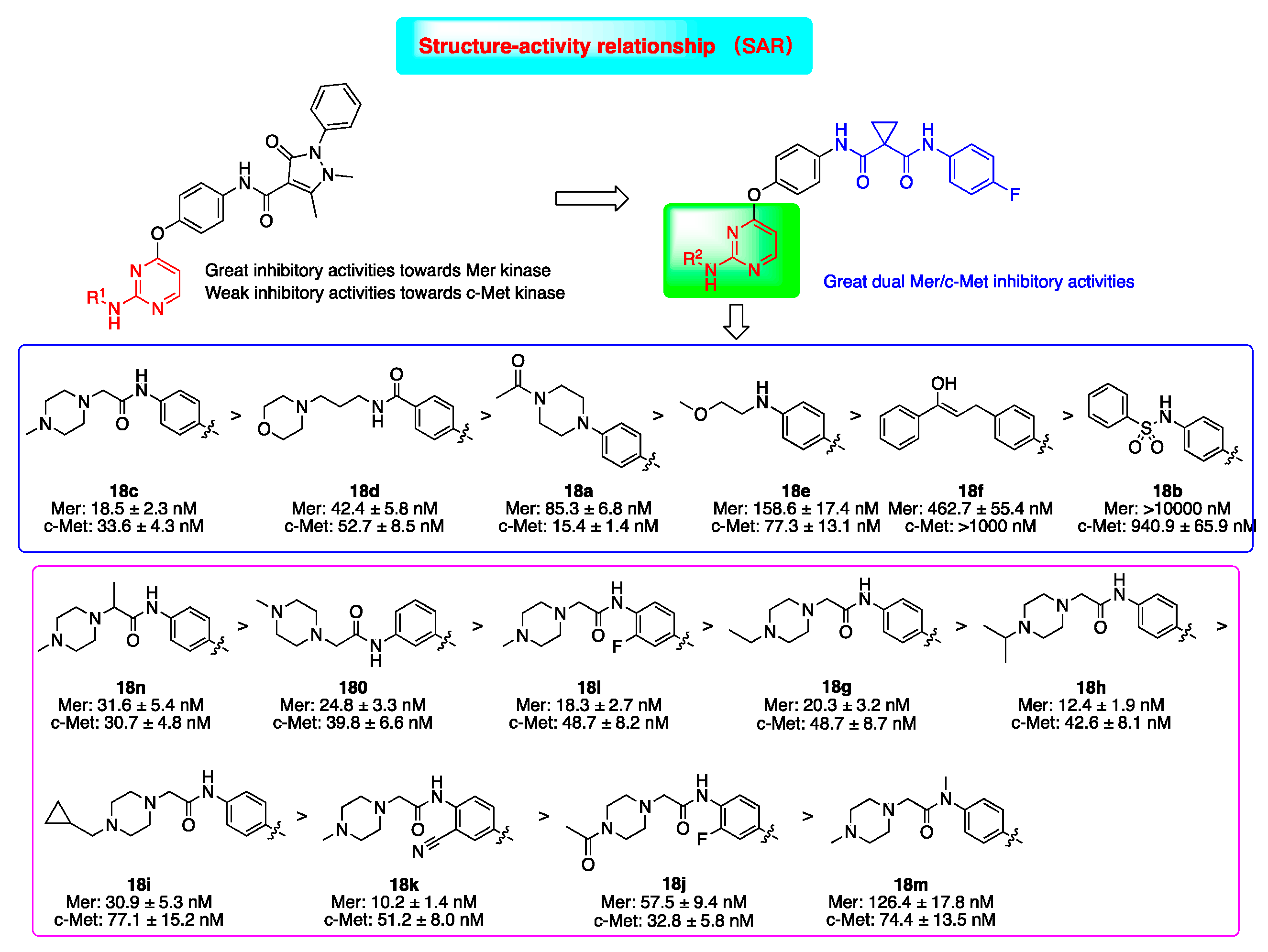 Molecules 29 00475 g004