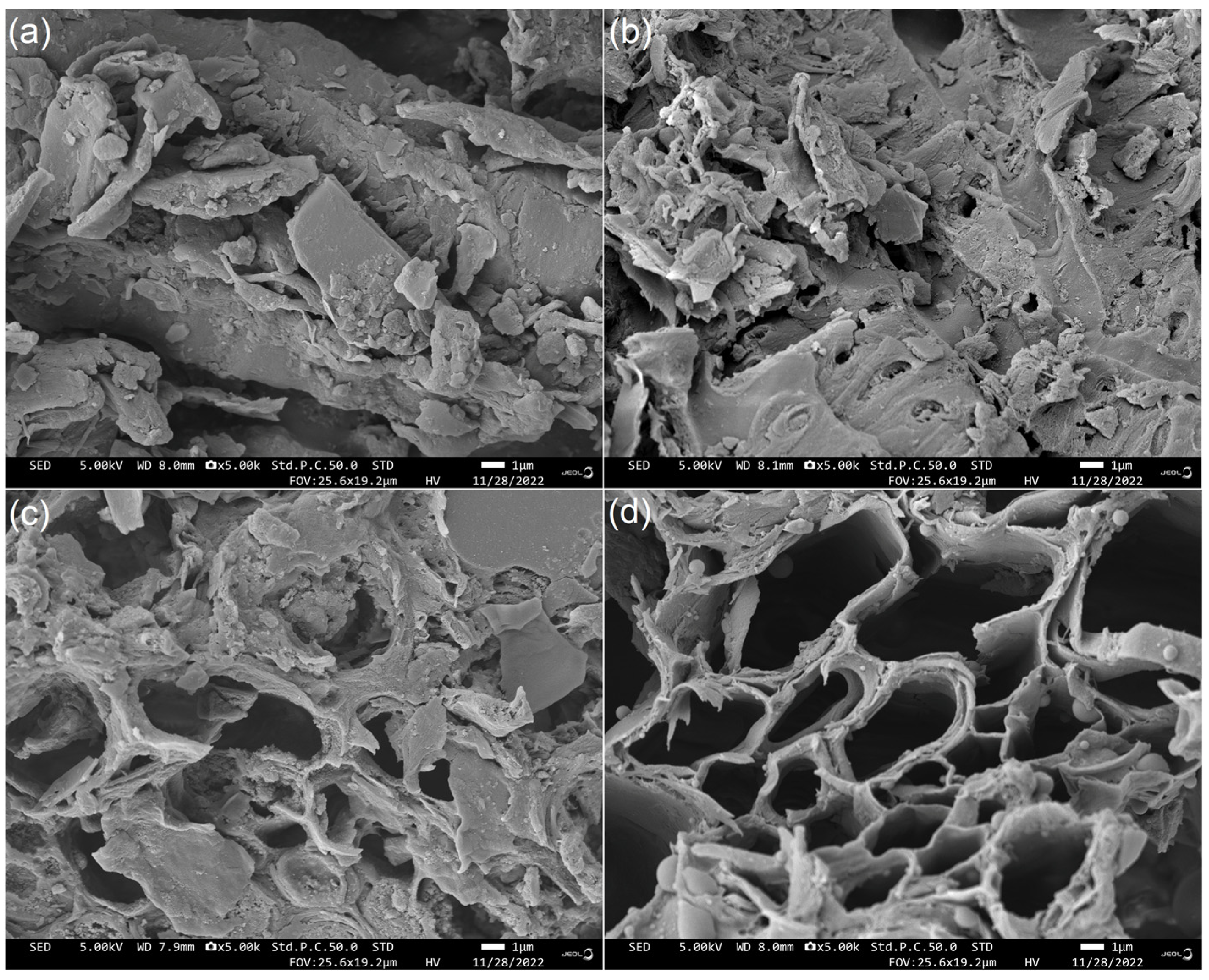 Molecules 29 00478 g001