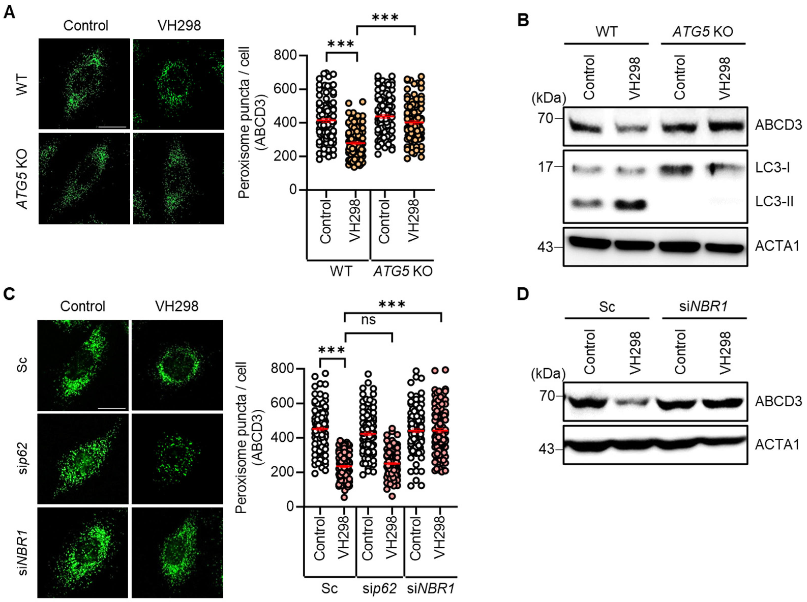 Molecules 29 00482 g002