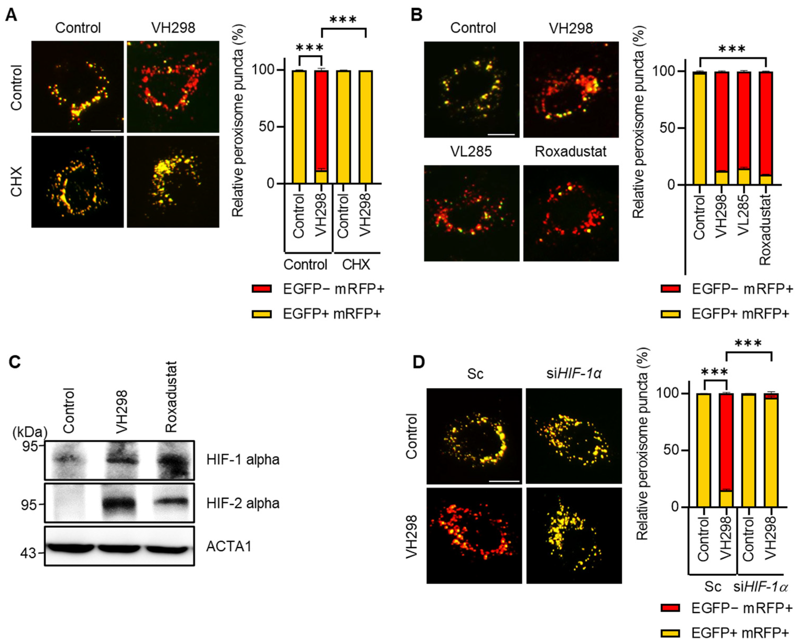 Molecules 29 00482 g004