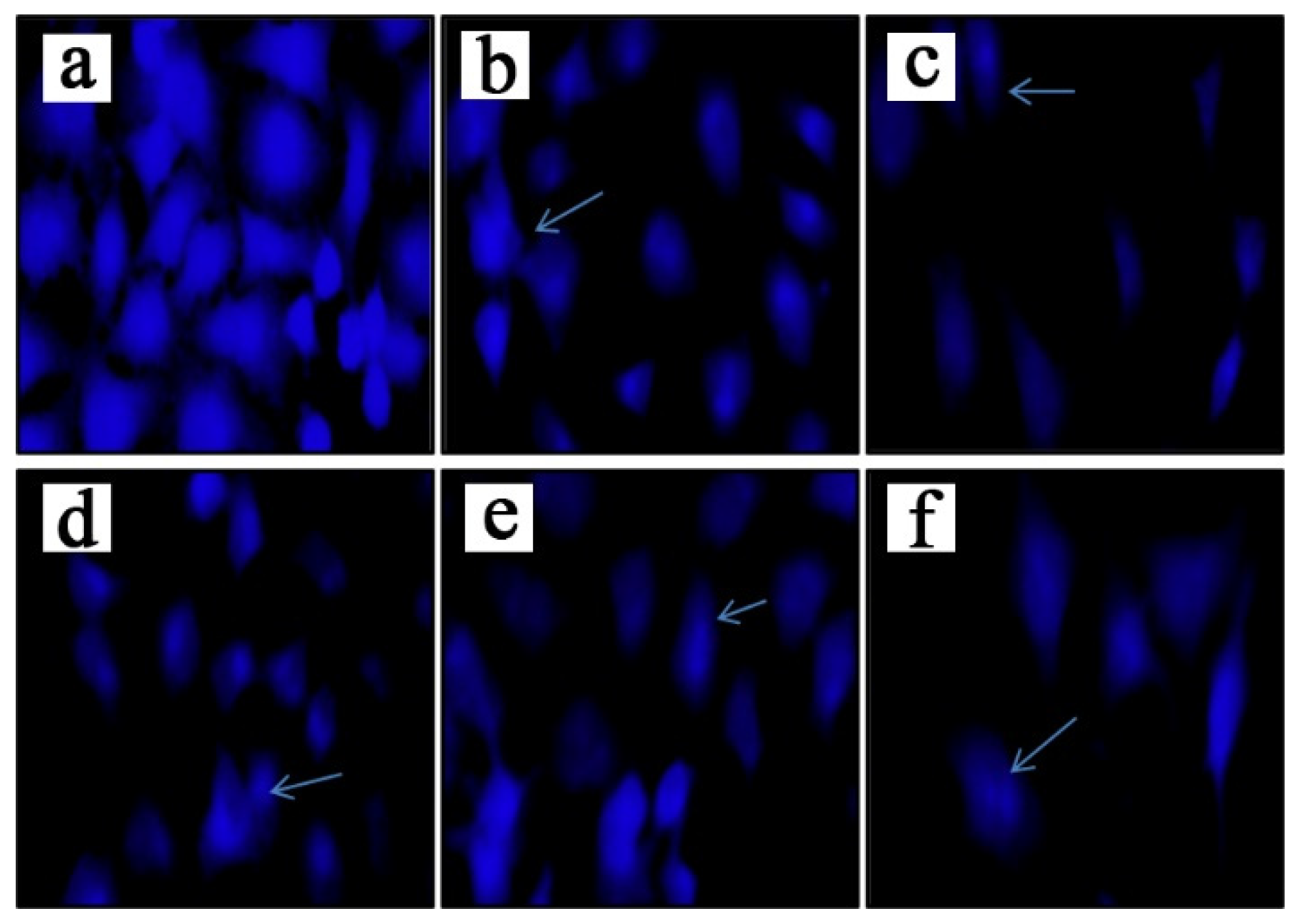 Molecules 29 00483 g003