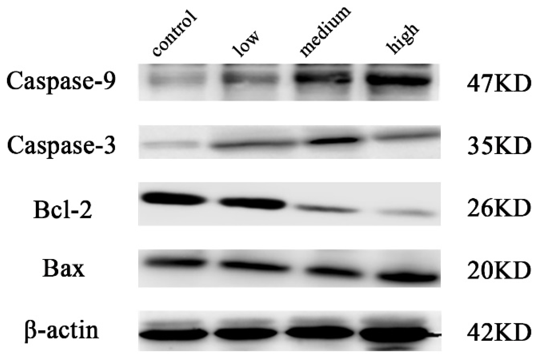 Molecules 29 00483 g006