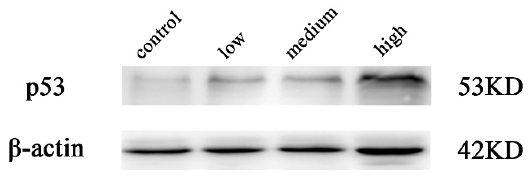 Molecules 29 00483 g007