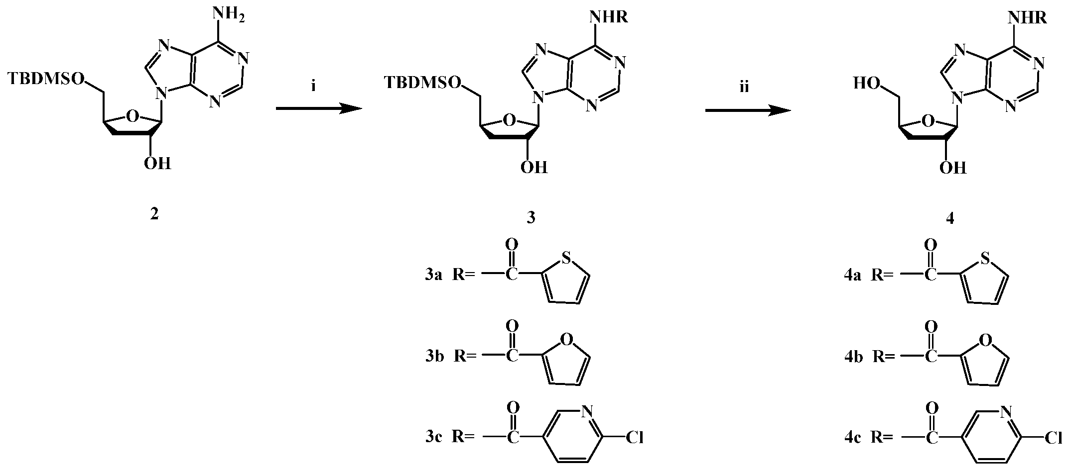 Molecules 29 00483 sch002