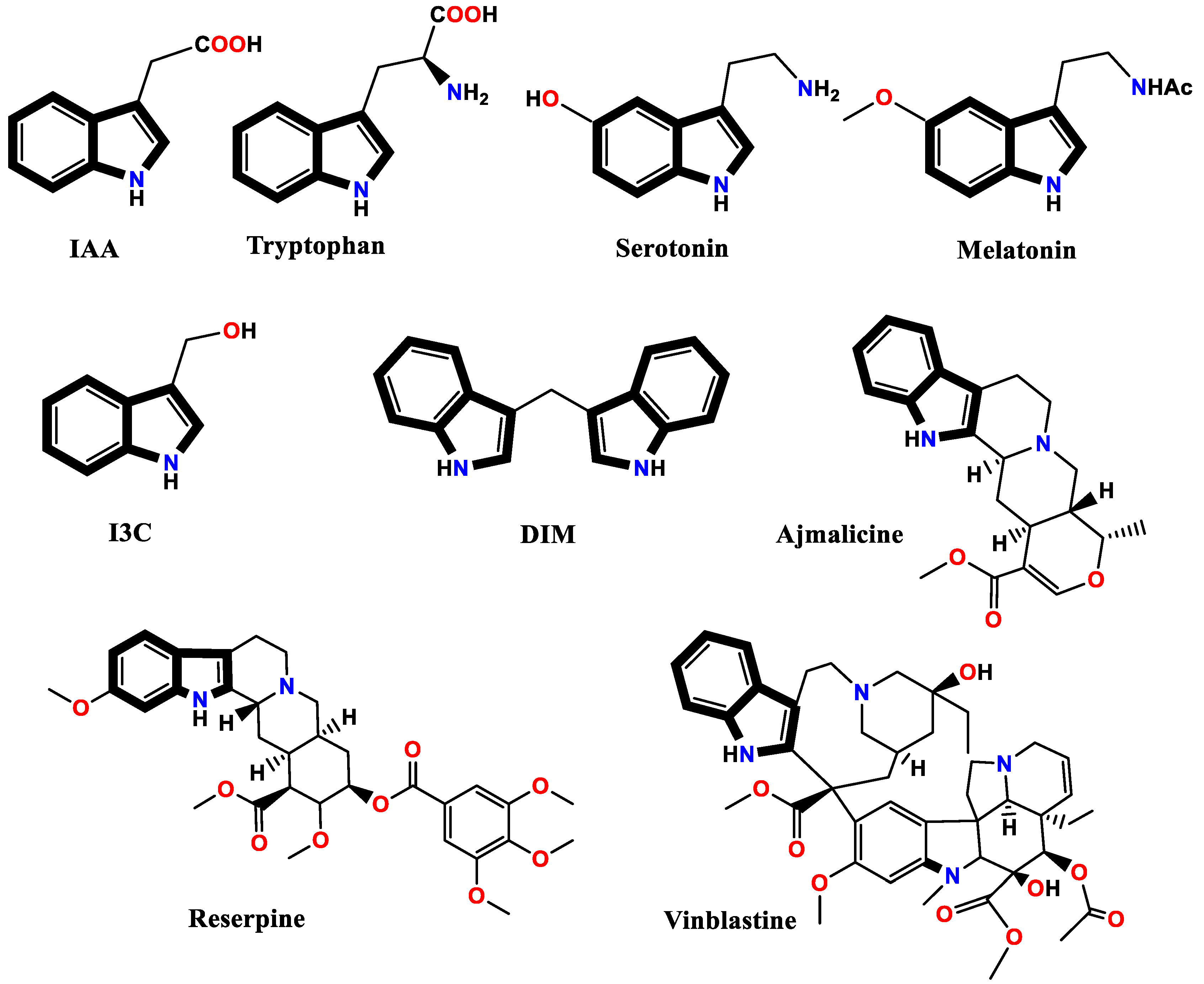 Molecules 29 00484 g002