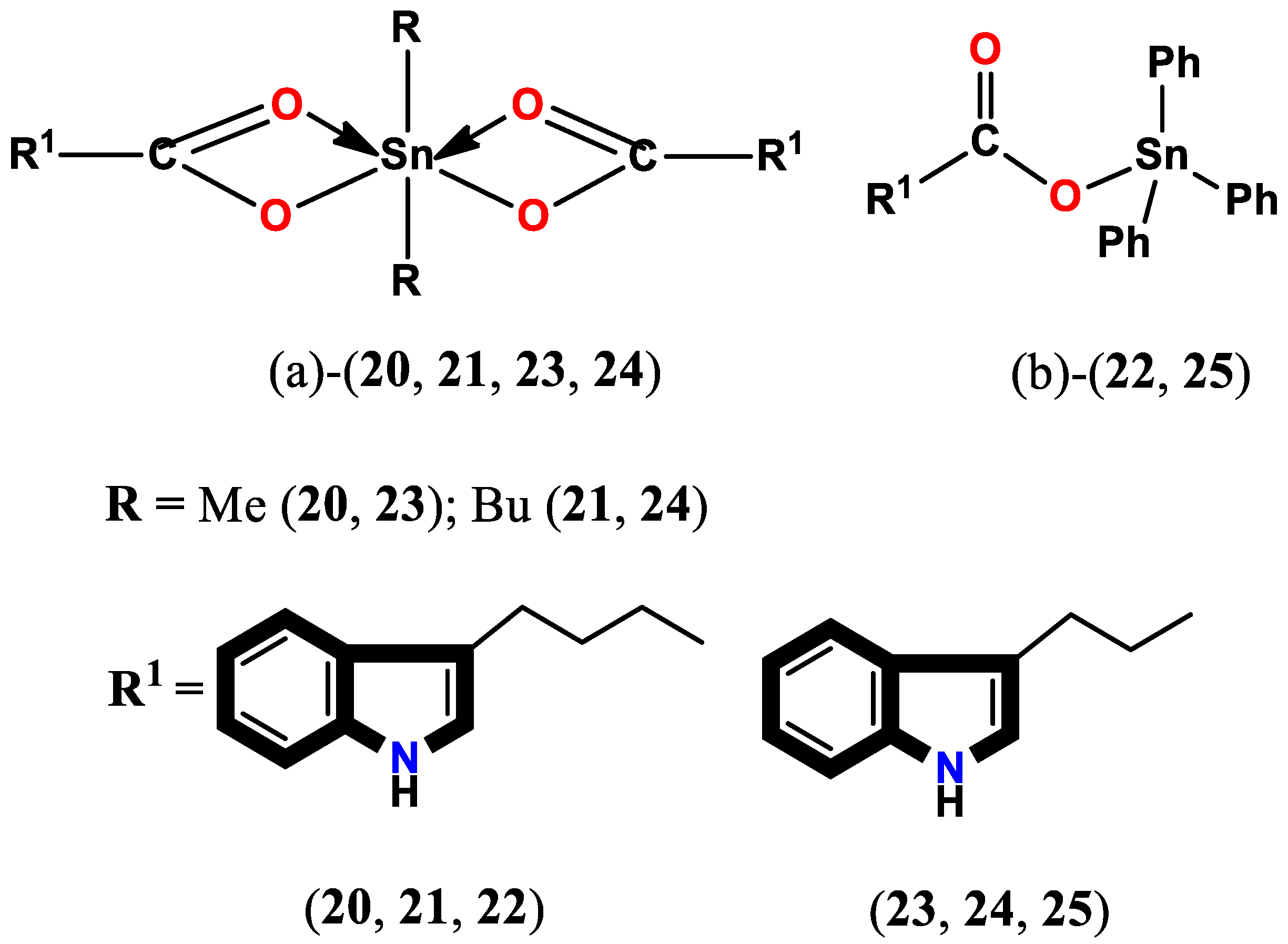 Molecules 29 00484 g006