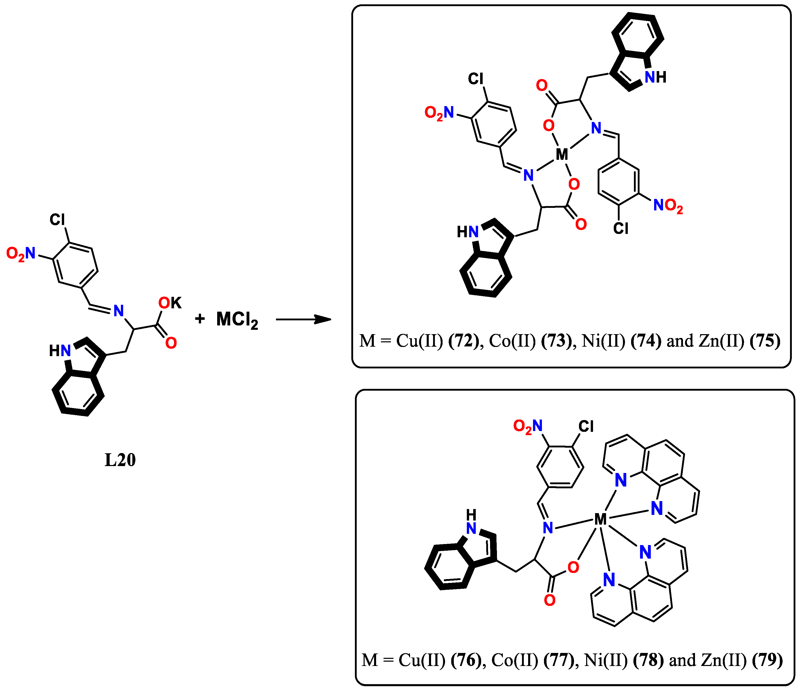 Molecules 29 00484 g020