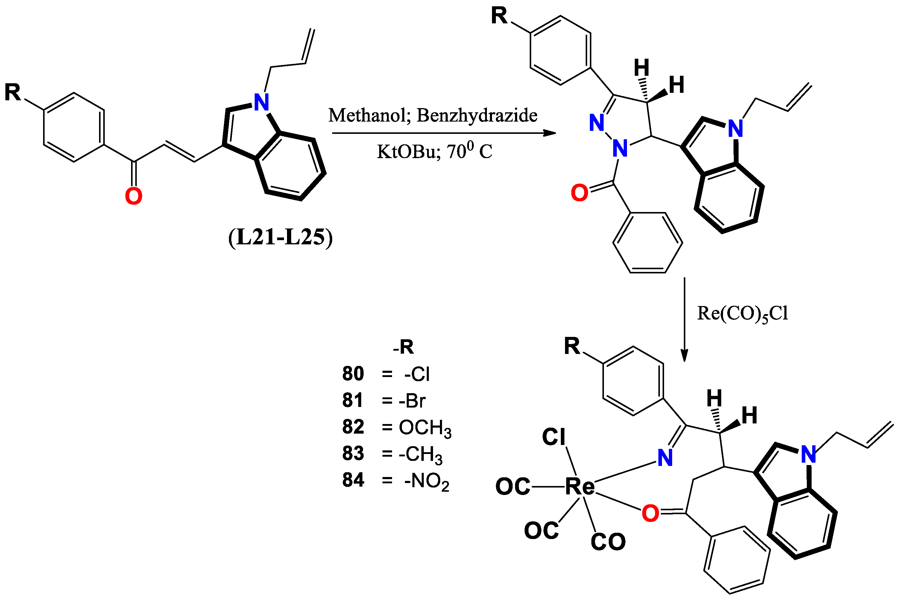 Molecules 29 00484 g021