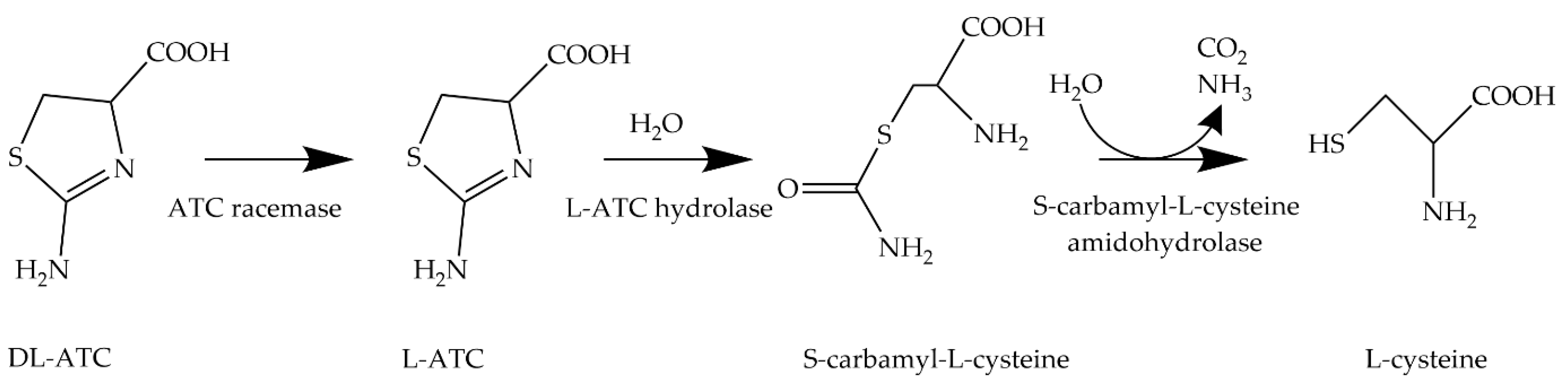 Molecules 29 00486 g002