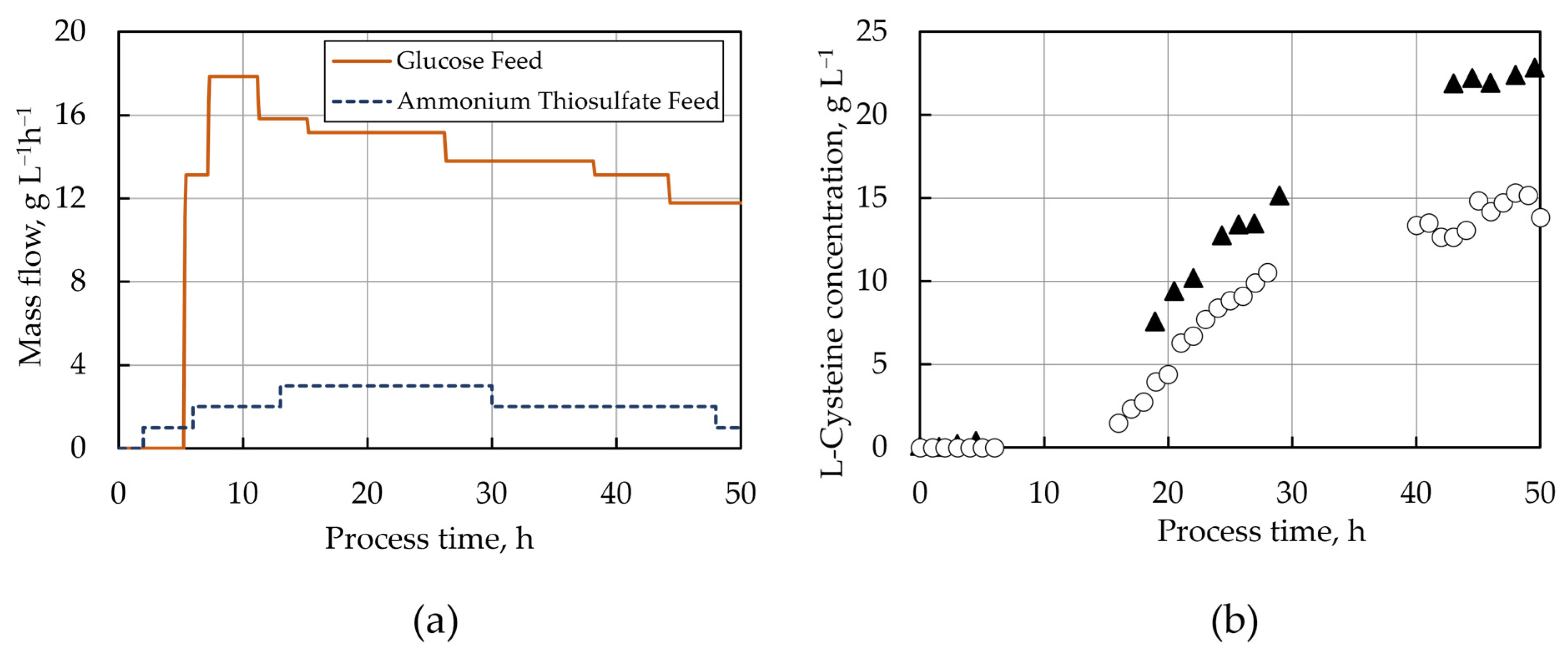 Molecules 29 00486 g003