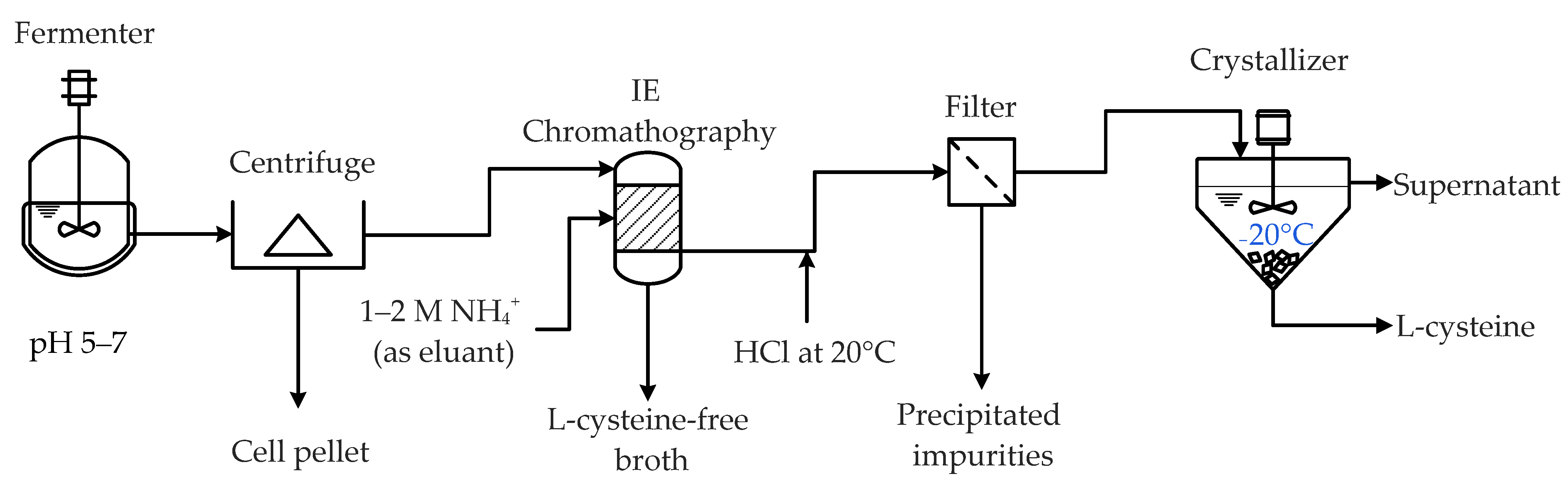 Molecules 29 00486 g004