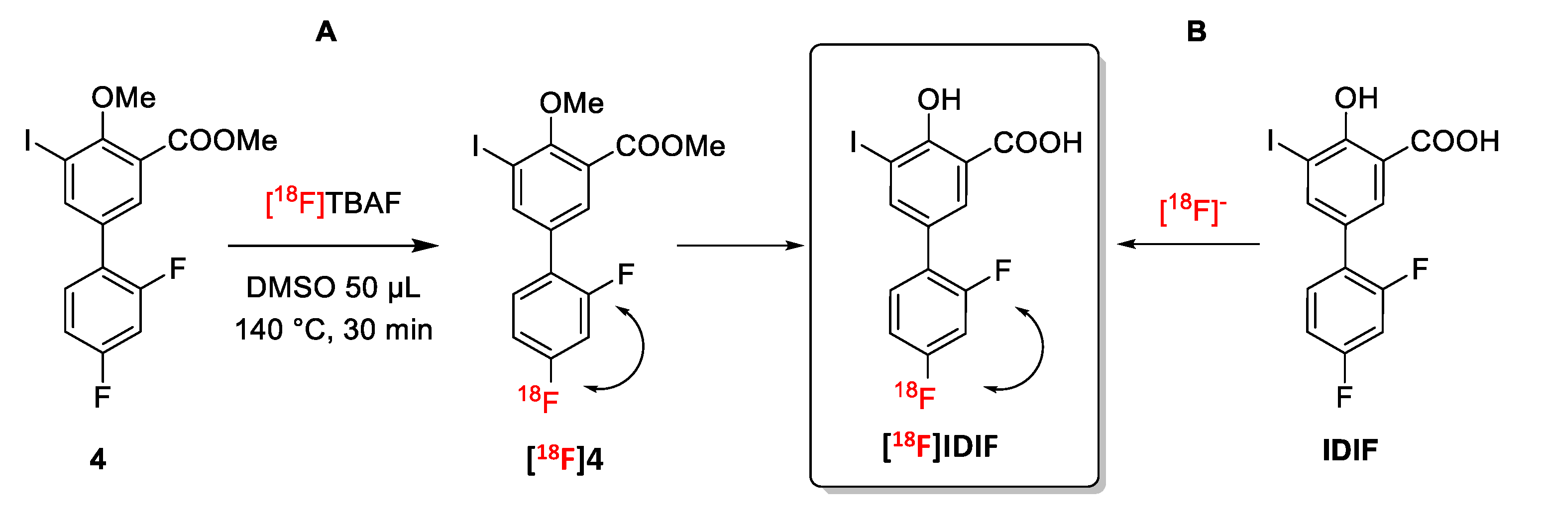 Molecules 29 00488 g002