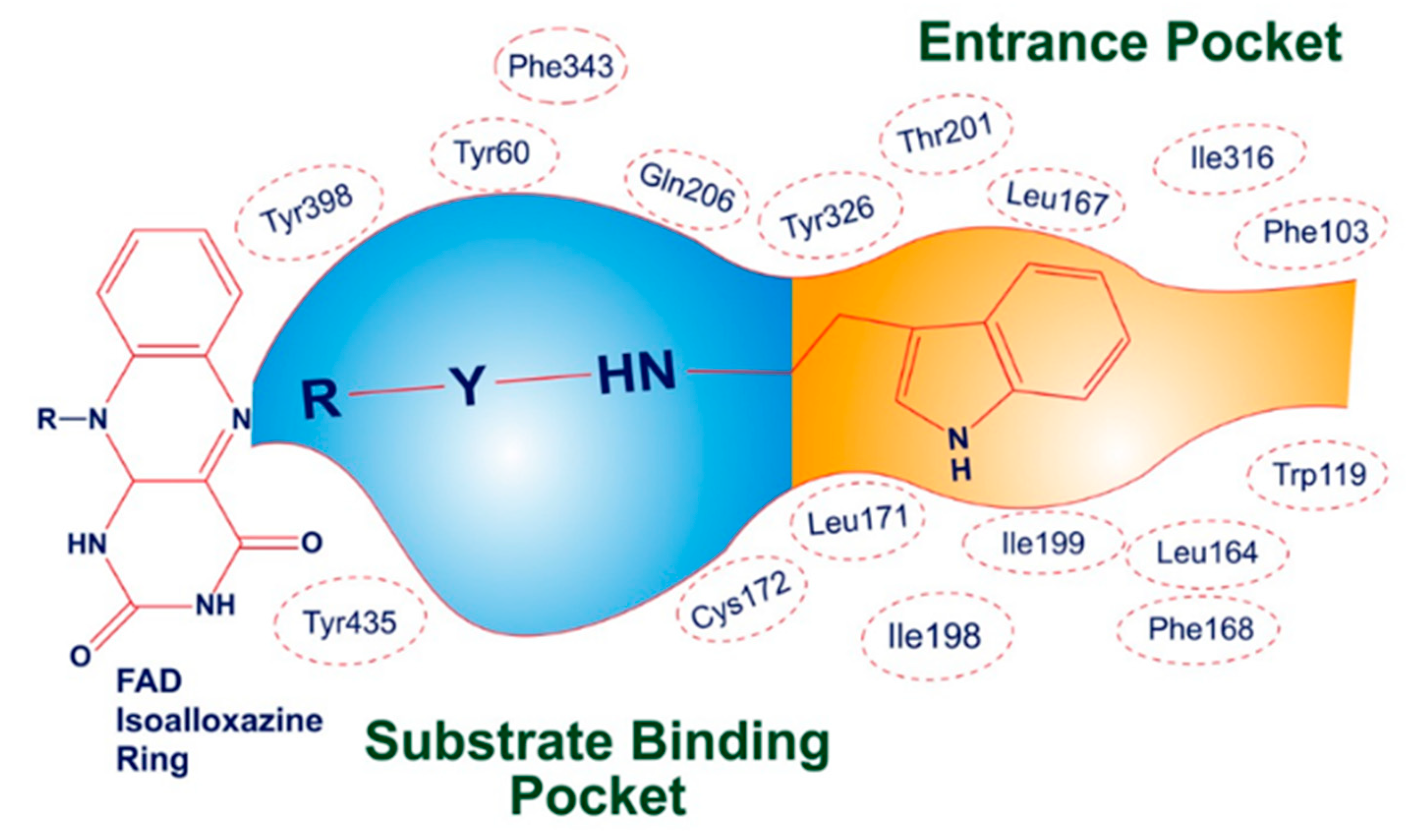 Molecules 29 00490 g005