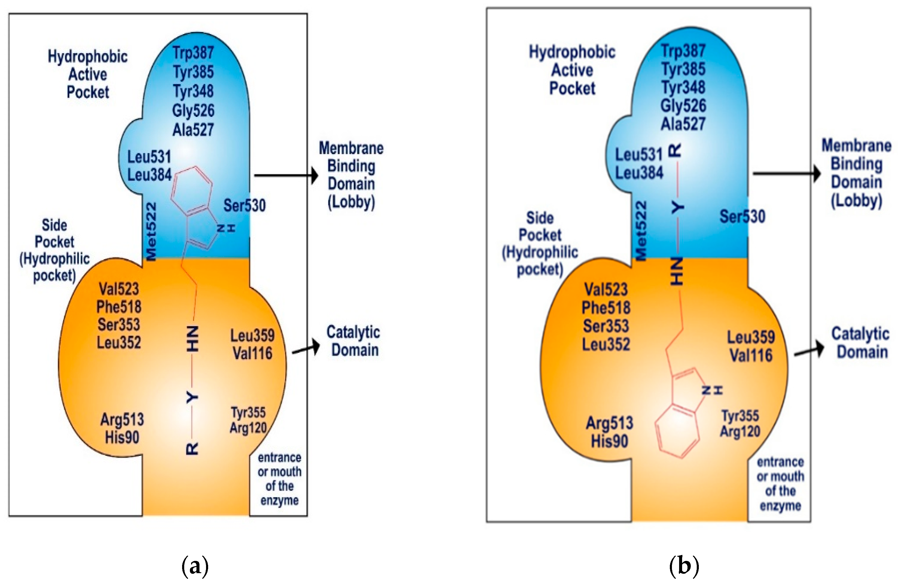 Molecules 29 00490 g007