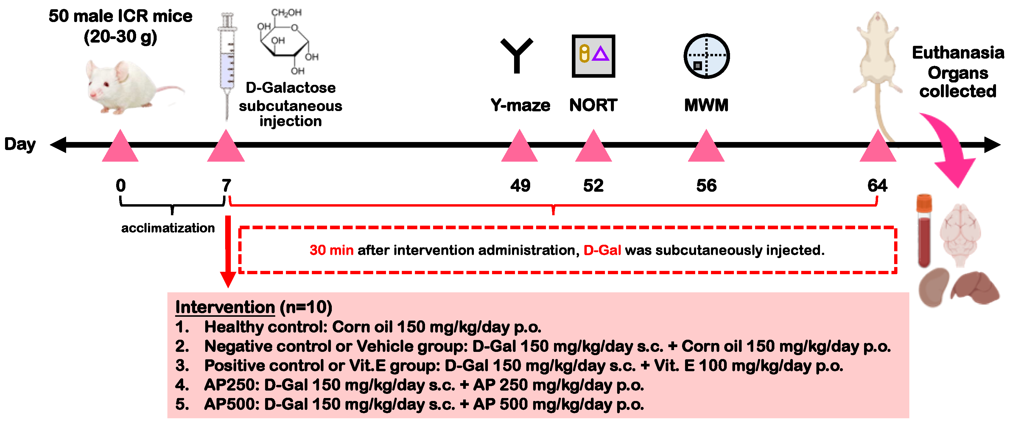 Molecules 29 00503 g006