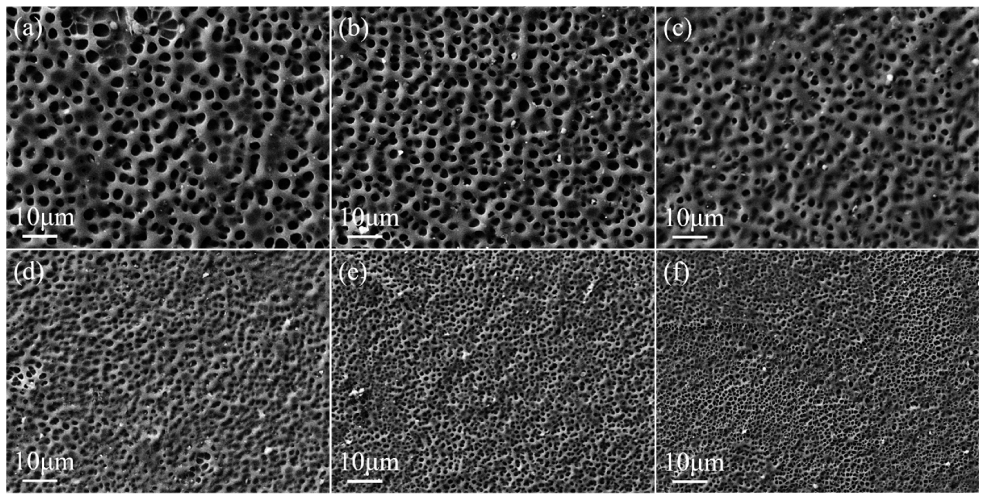 Molecules 29 00508 g004