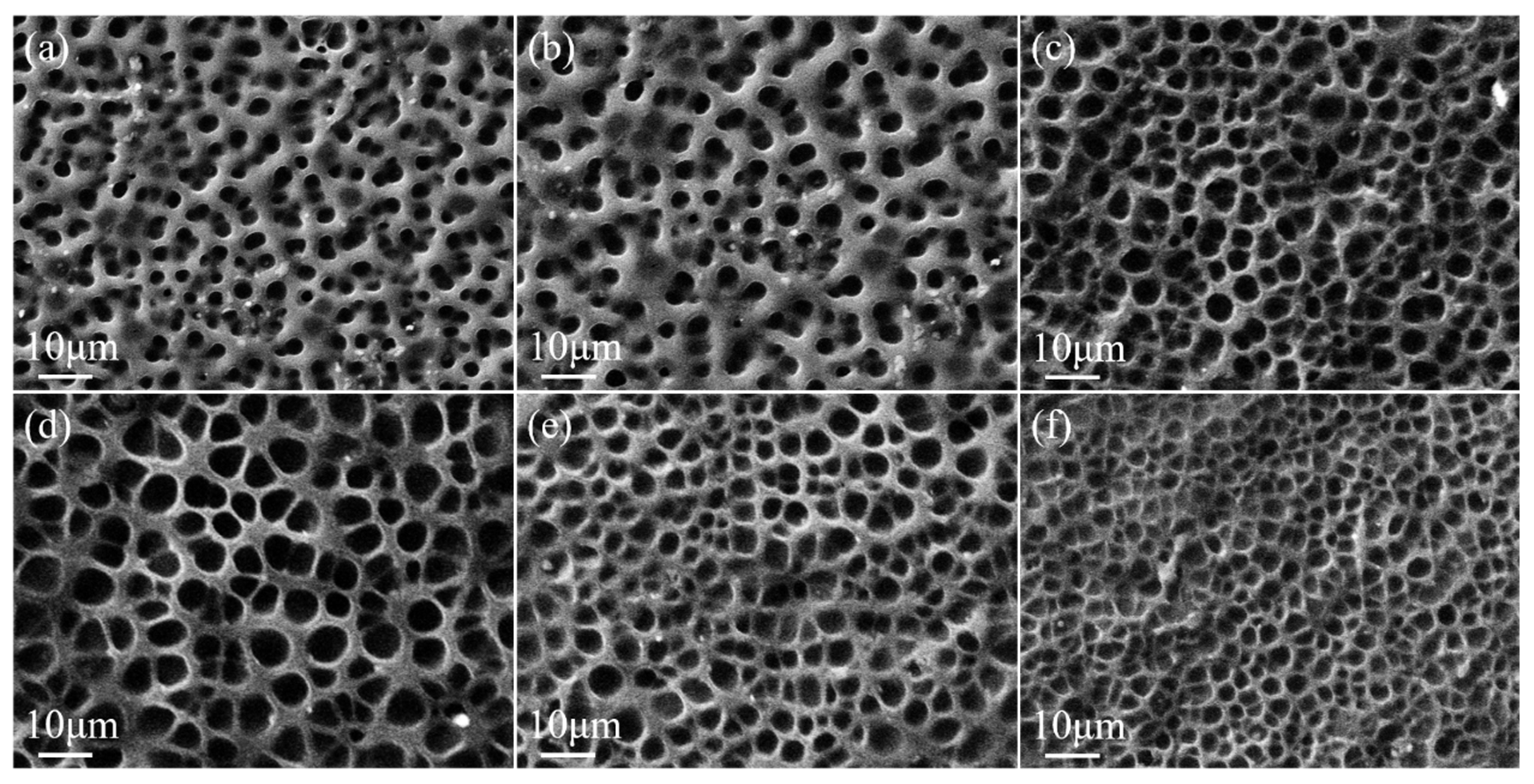 Molecules 29 00508 g008