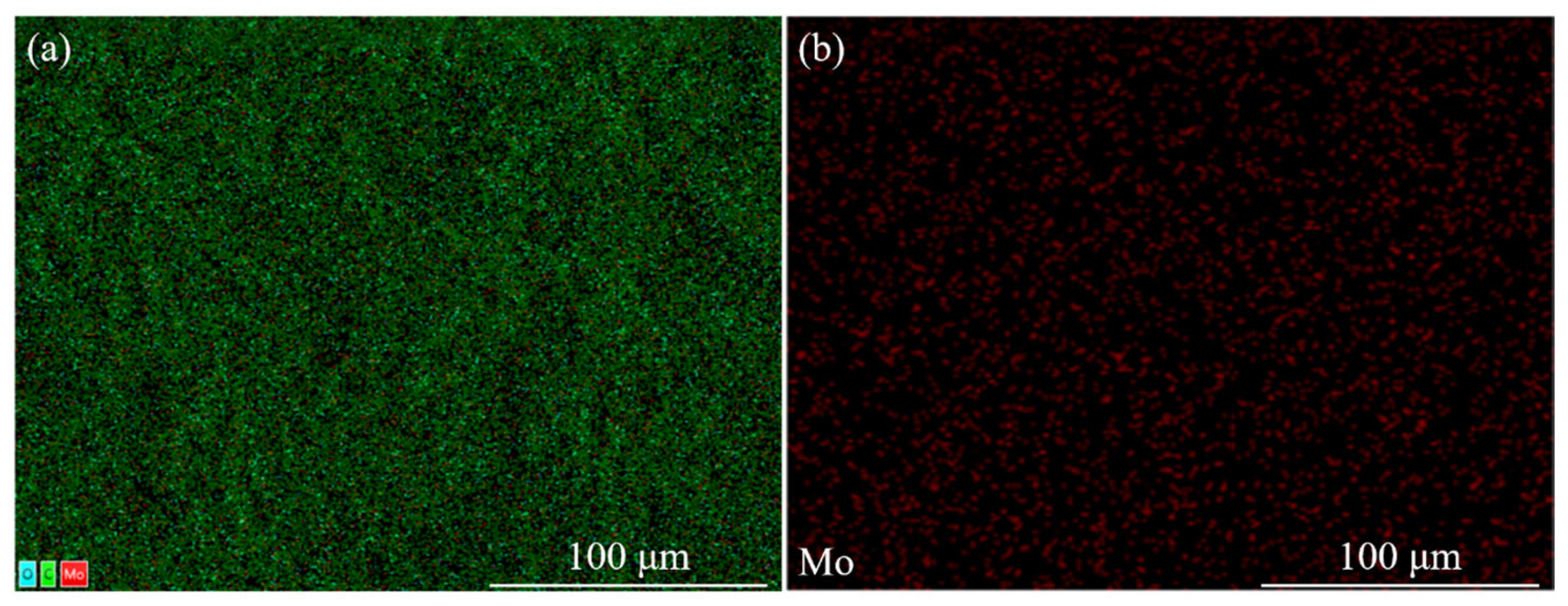 Molecules 29 00508 g011