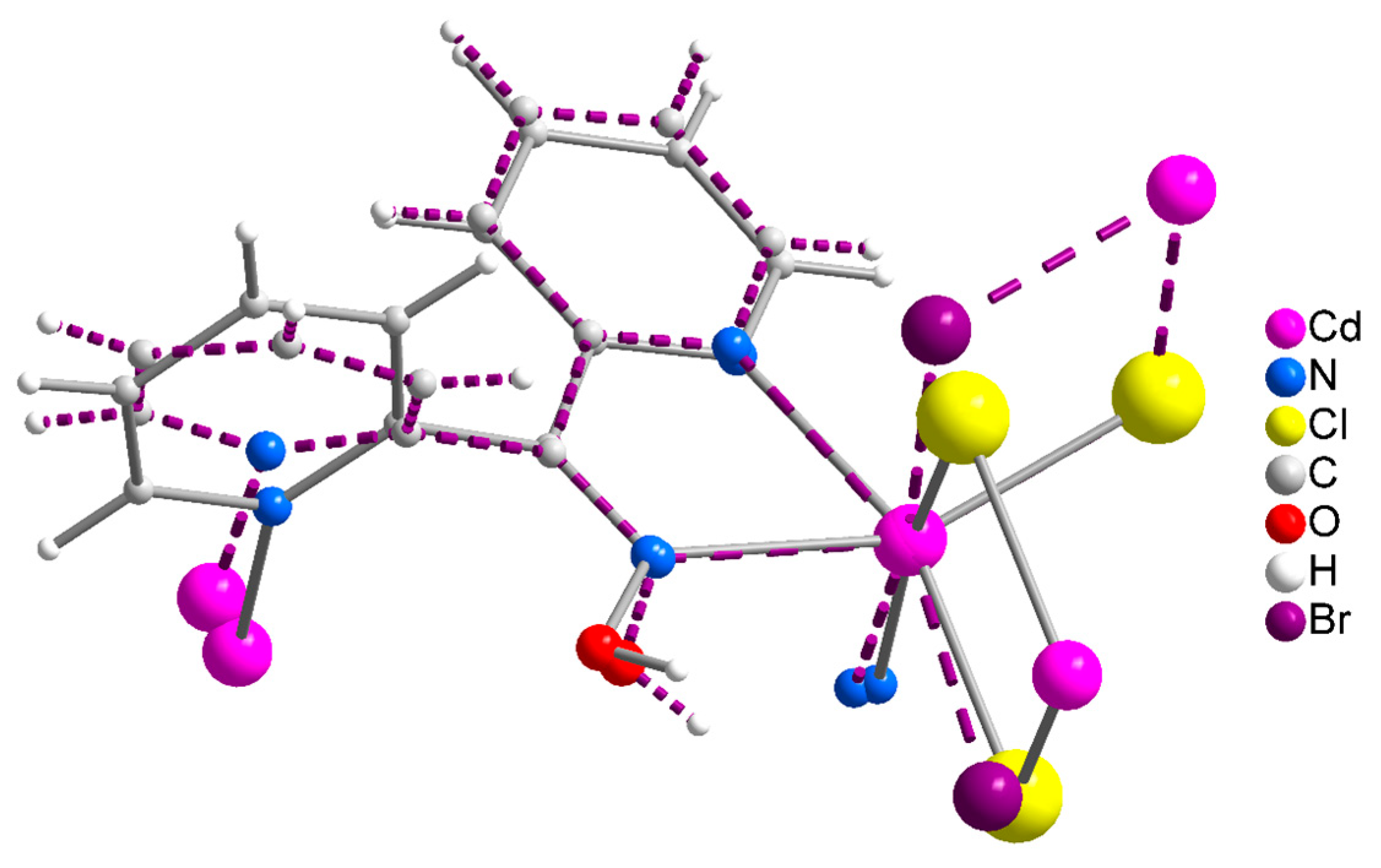 Molecules 29 00509 g005