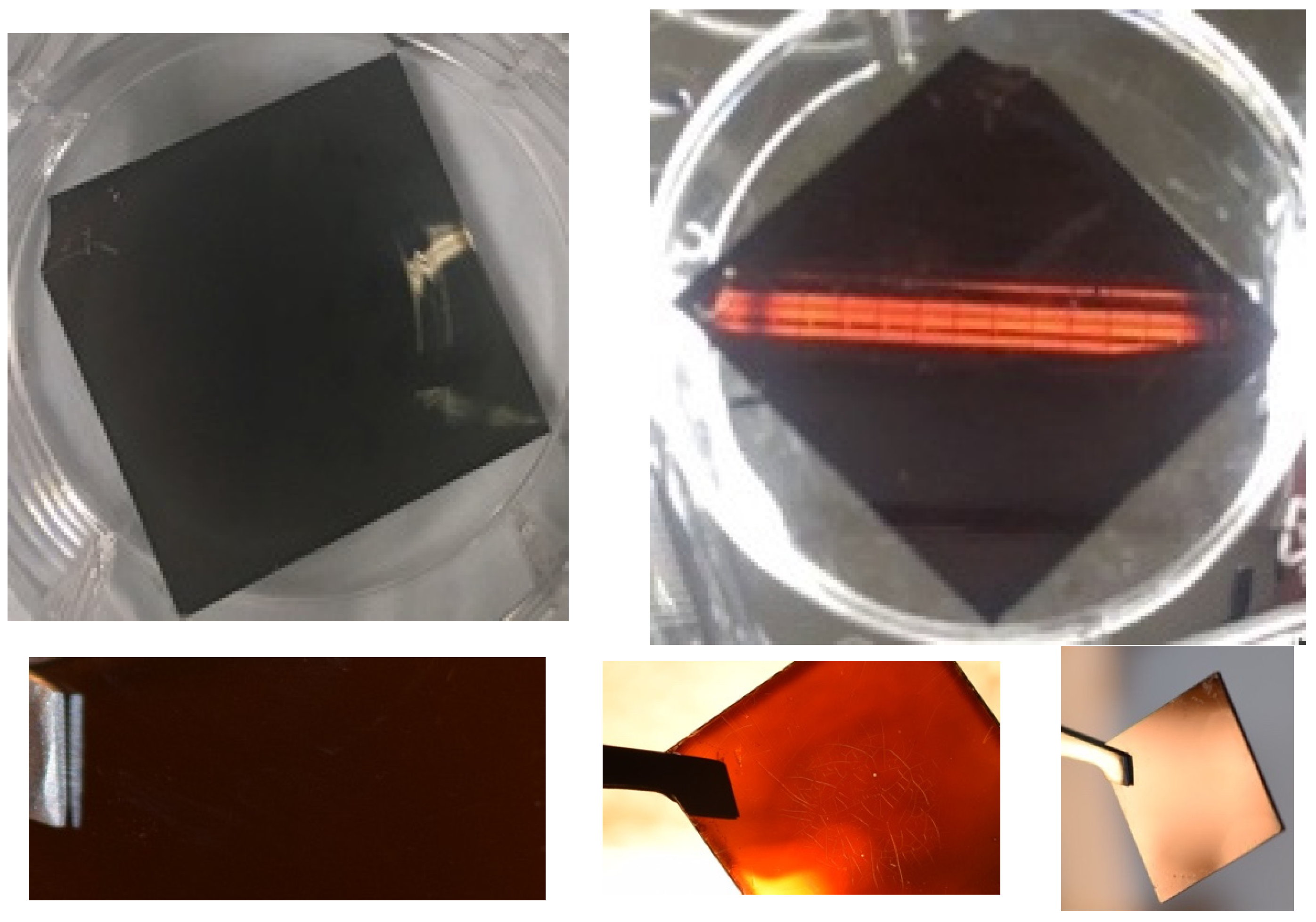 Molecules 29 00516 g003