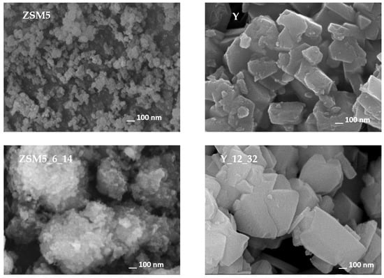 Molecules 29 00517 g003