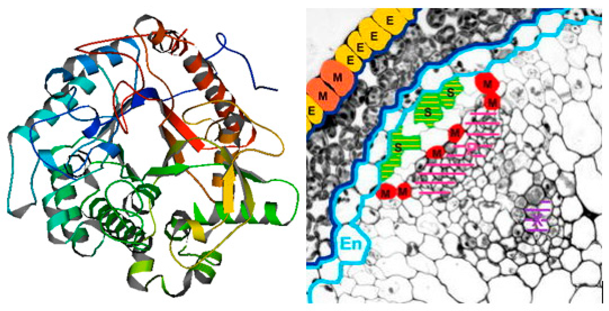 Molecules 29 00519 g002