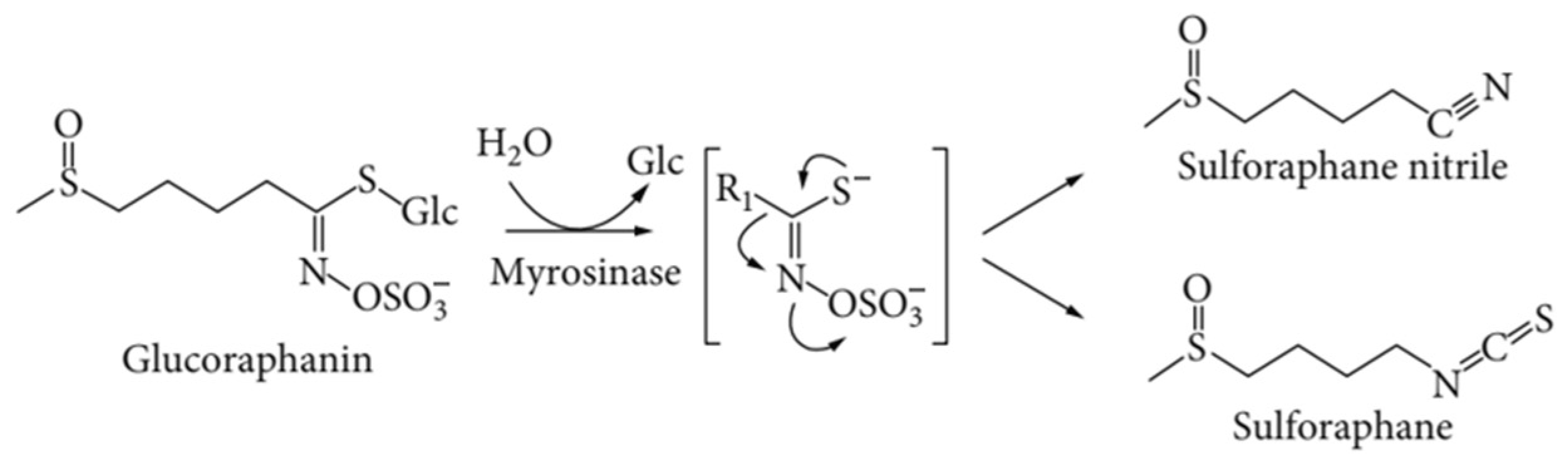 Molecules 29 00519 g003