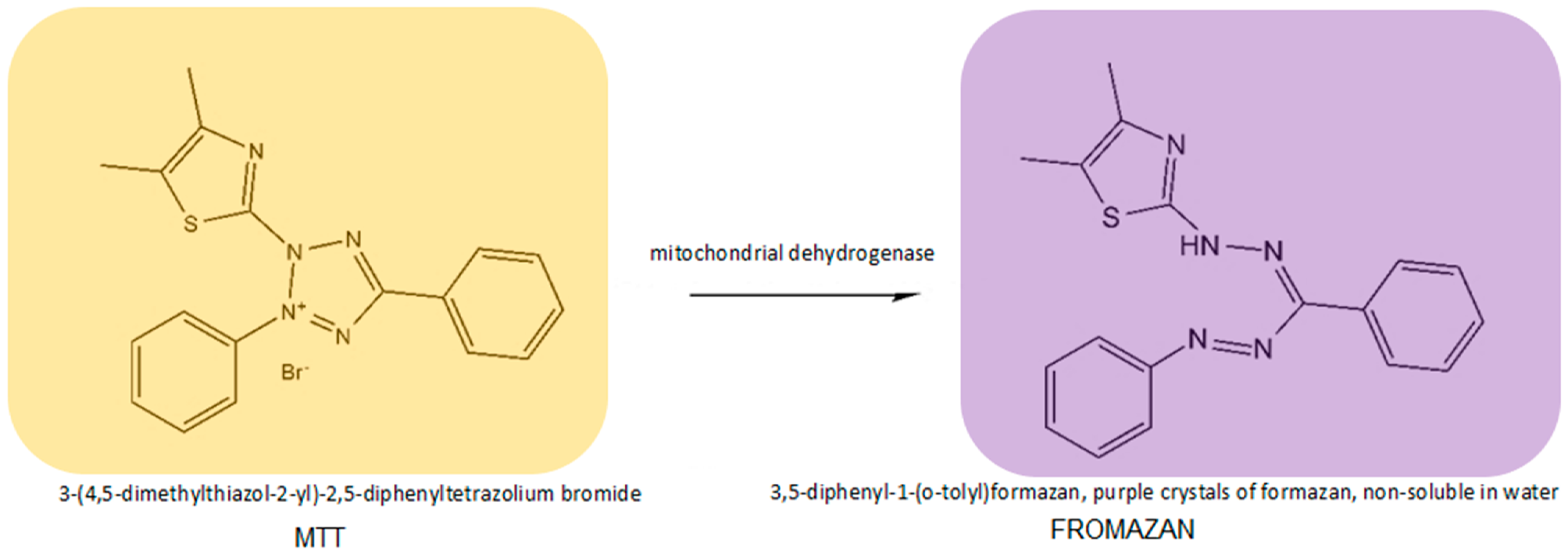 Molecules 29 00519 g004
