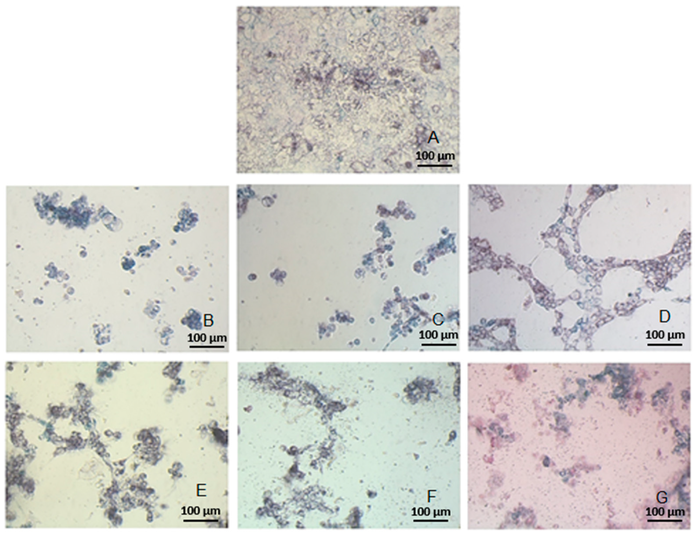 Molecules 29 00519 g007