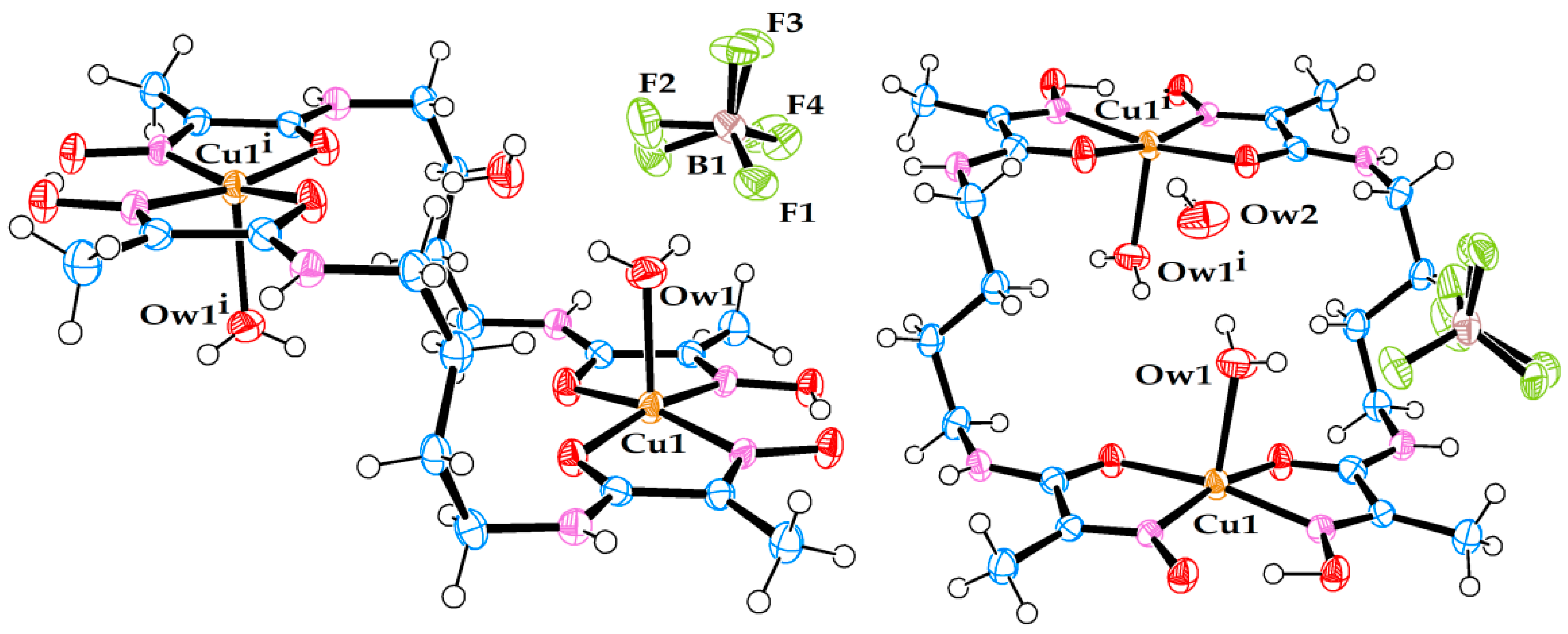 Molecules 29 00522 g002