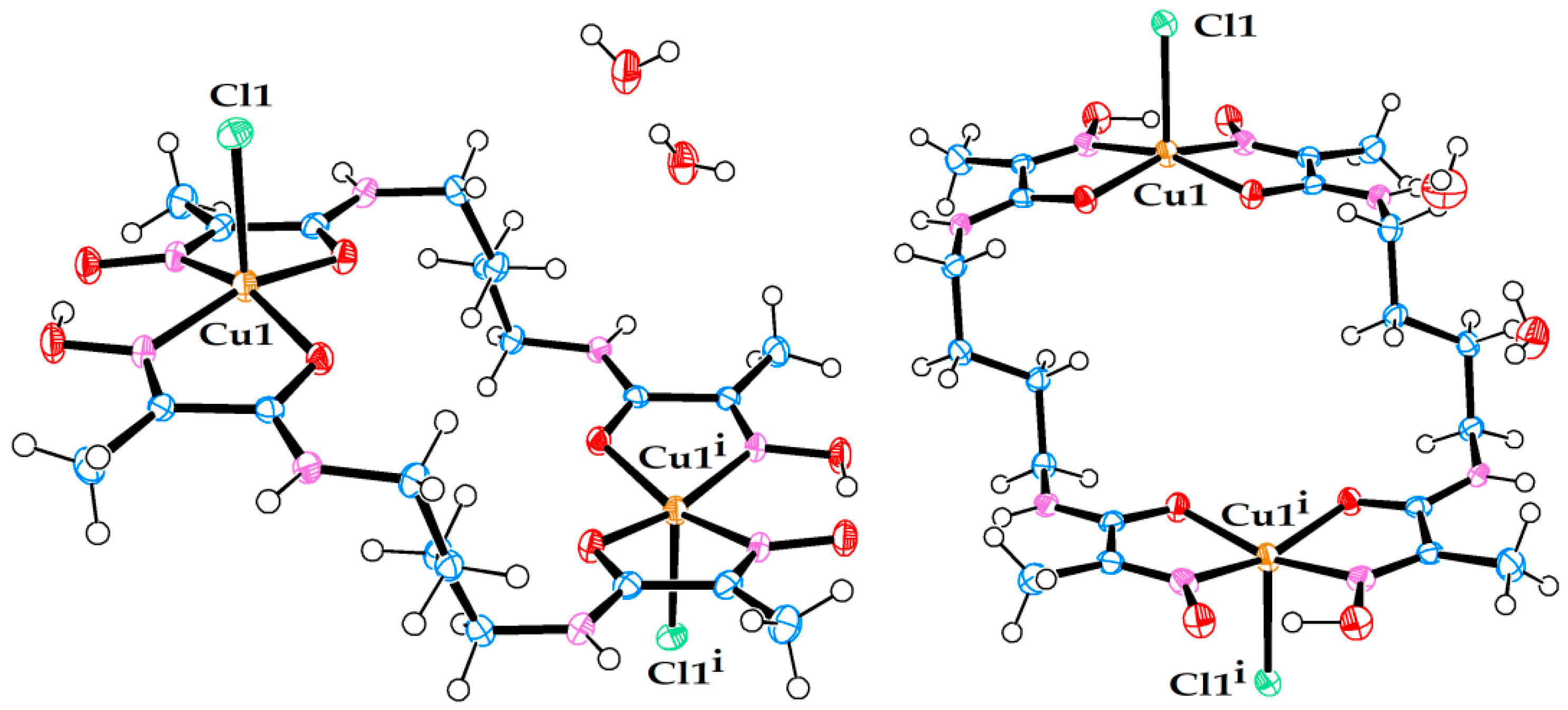 Molecules 29 00522 g003