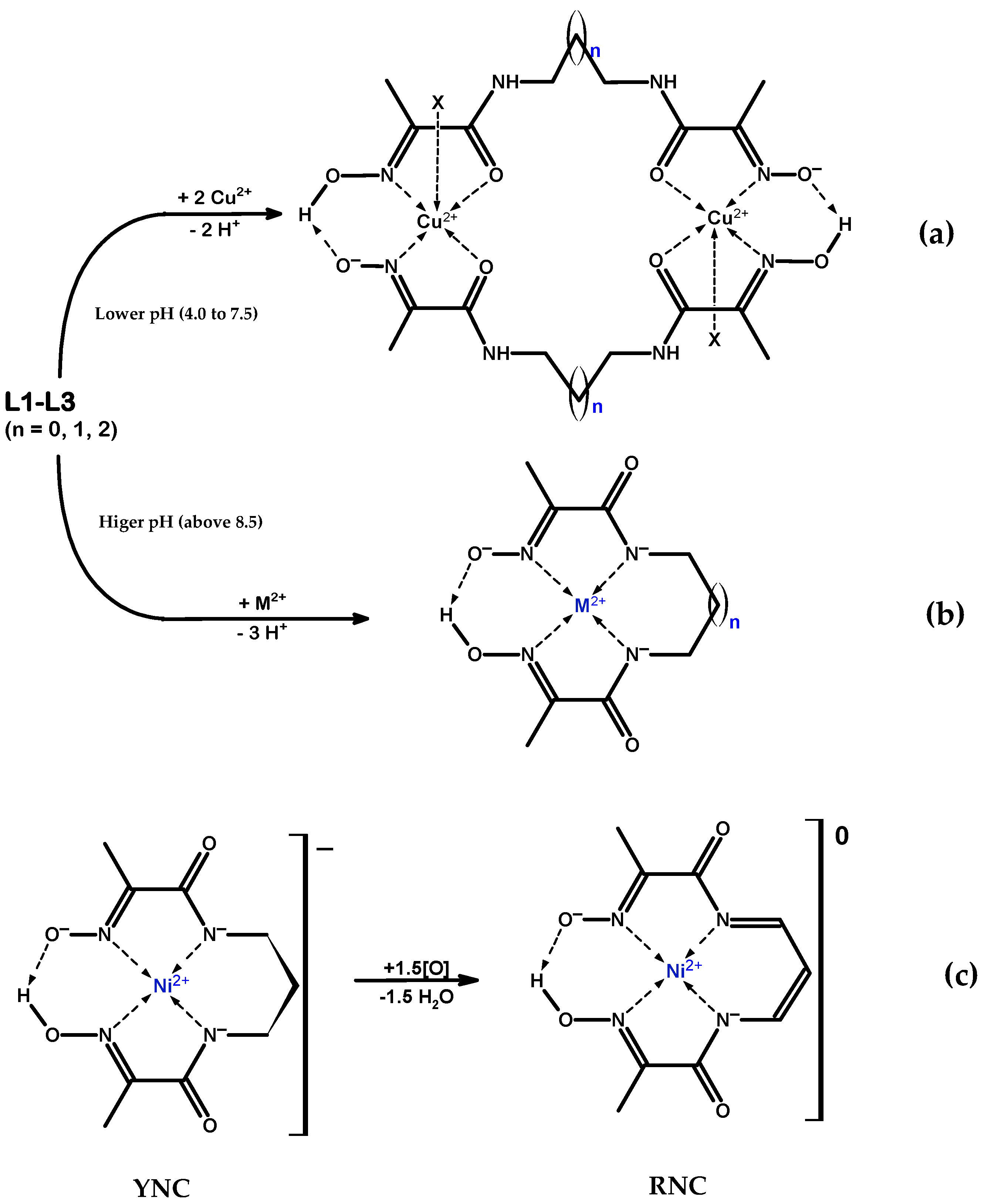 Molecules 29 00522 sch003