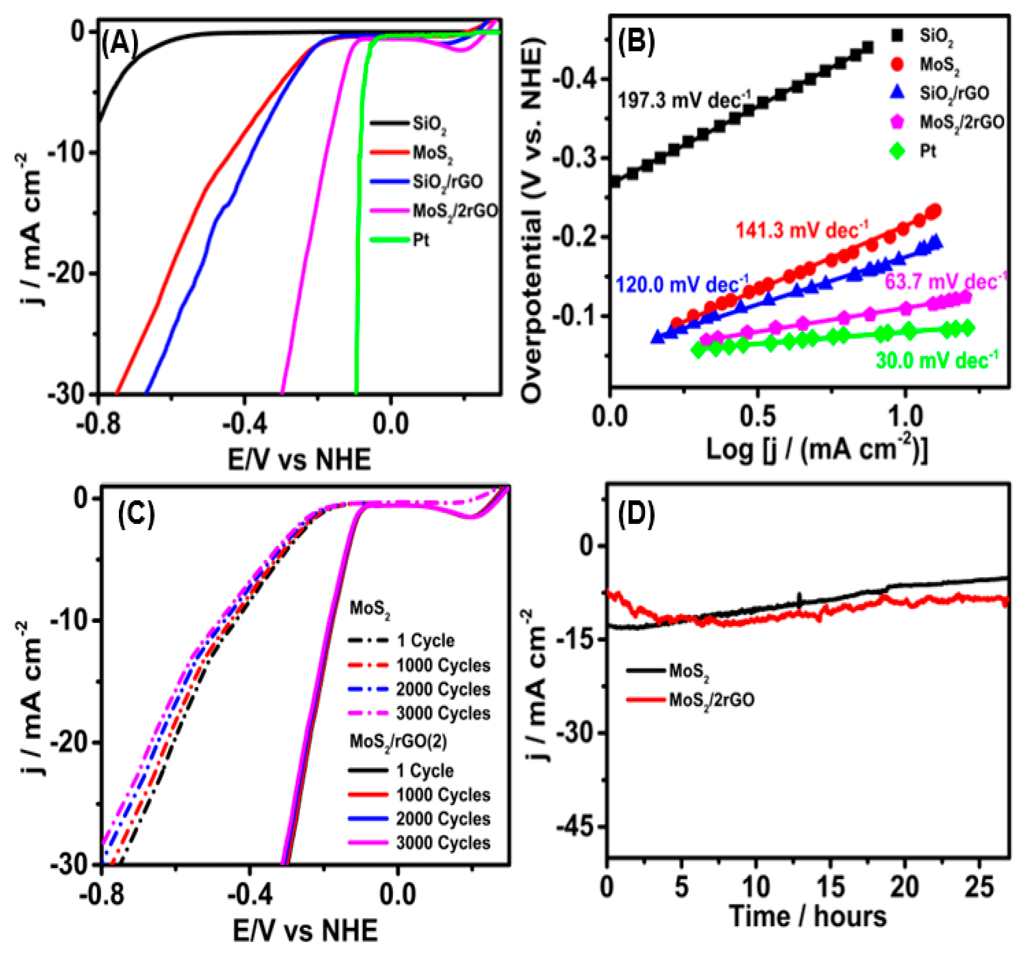 Molecules 29 00523 g004