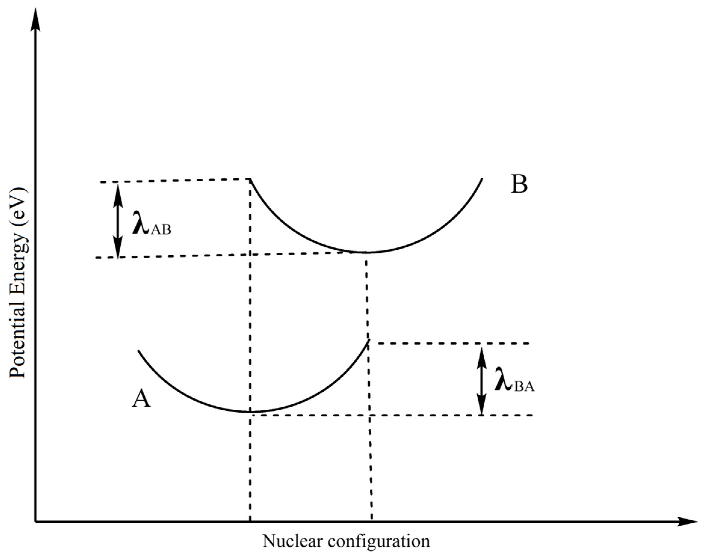Molecules 29 00524 g006